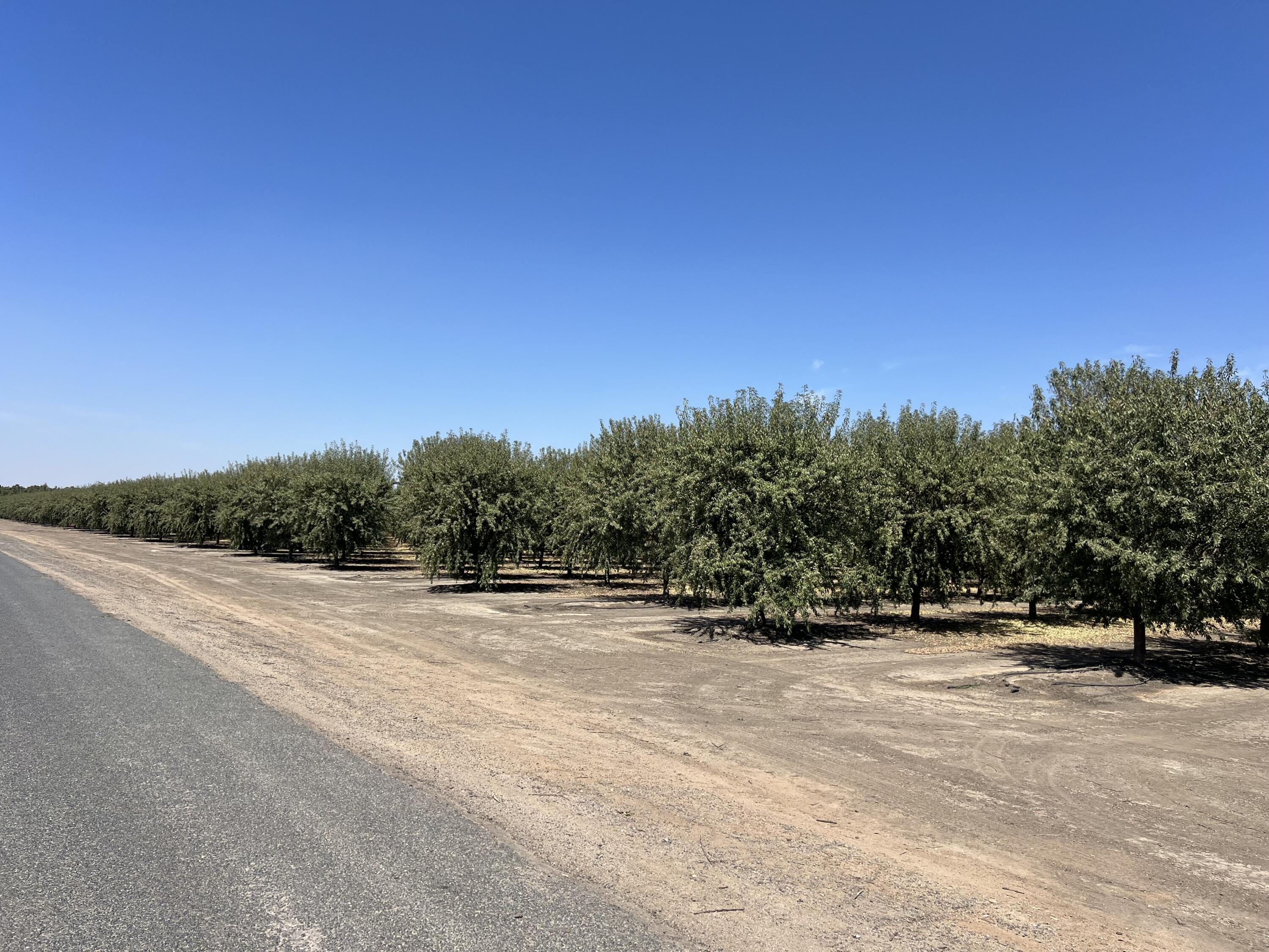 0, Strathmore, CA 93267