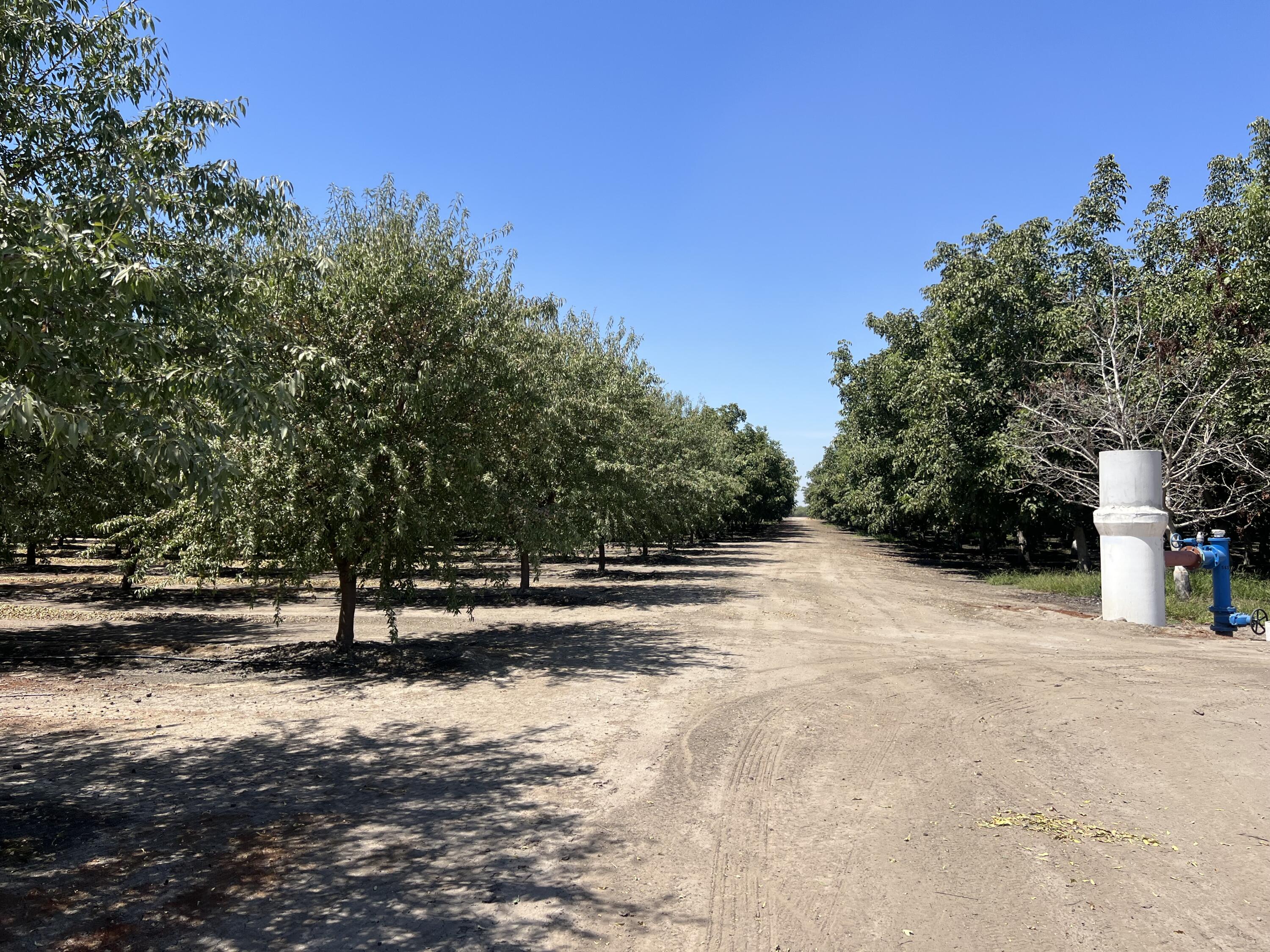 0, Strathmore, CA 93267