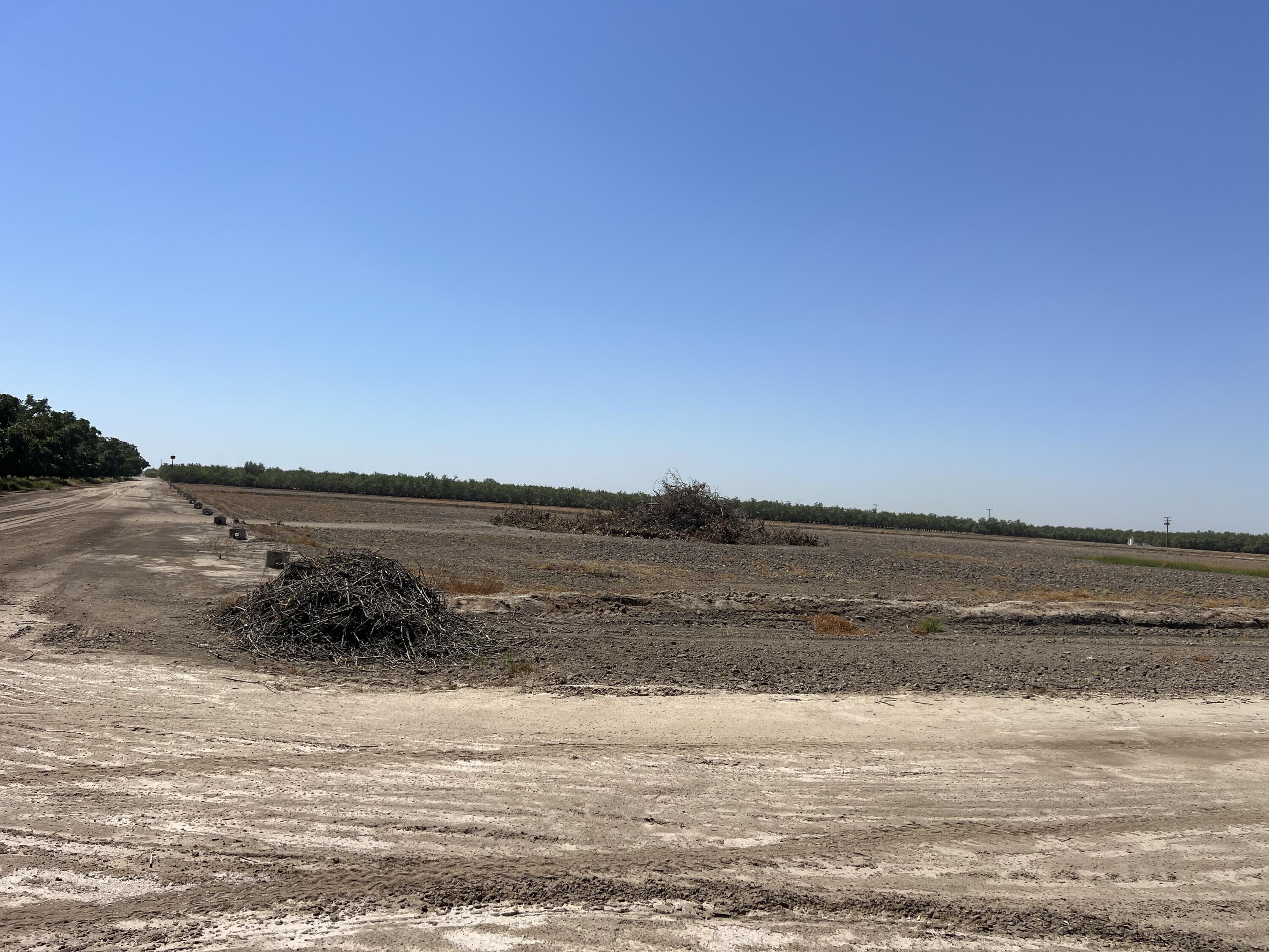 0, Strathmore, CA 93267