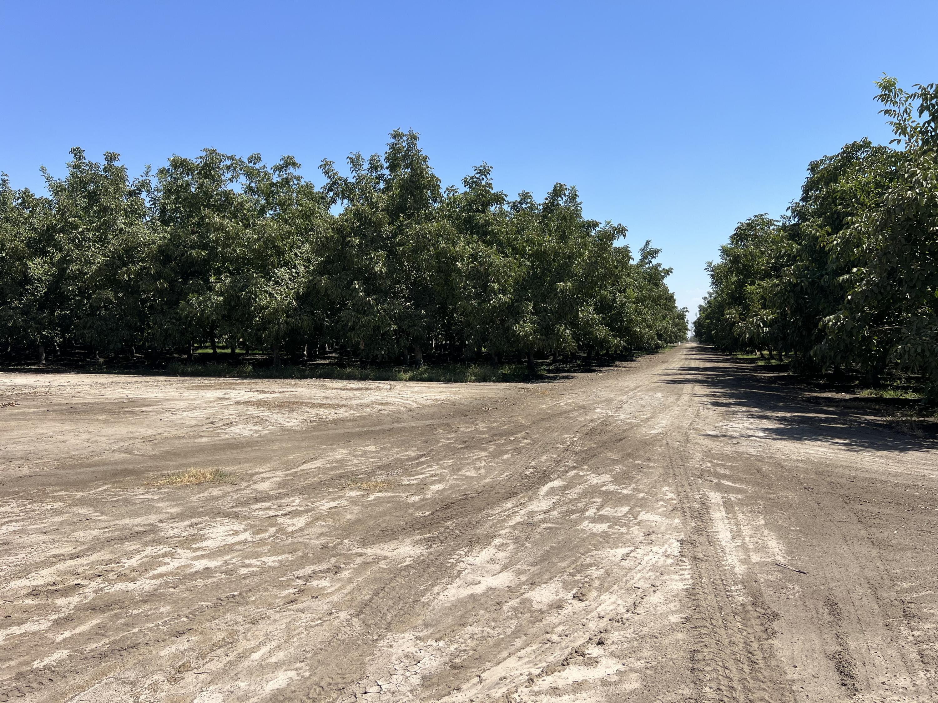 0, Strathmore, CA 93267