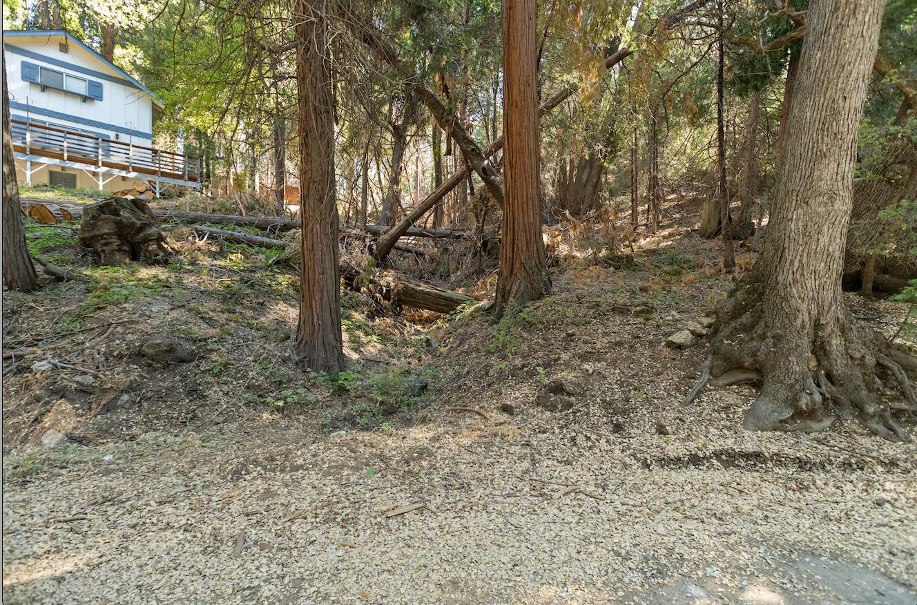 1482 Coy Flat Dr, Springville, CA 93265