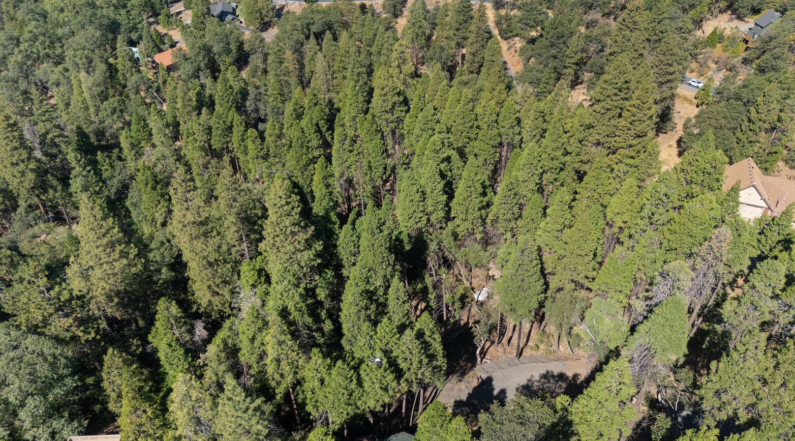 1482 Coy Flat Dr, Springville, CA 93265
