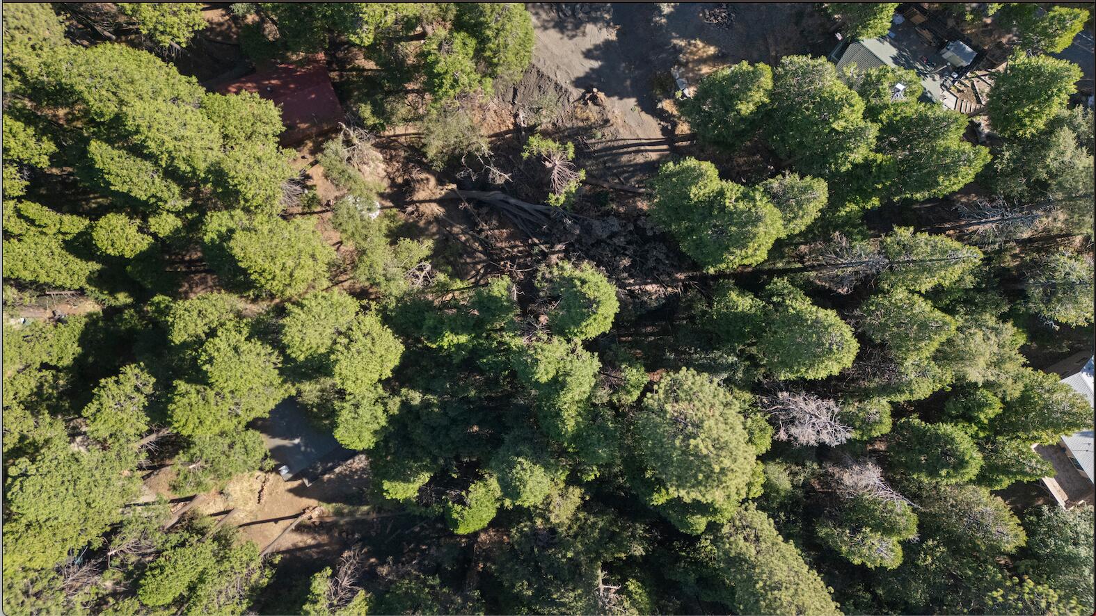 1482 Coy Flat Dr, Springville, CA 93265