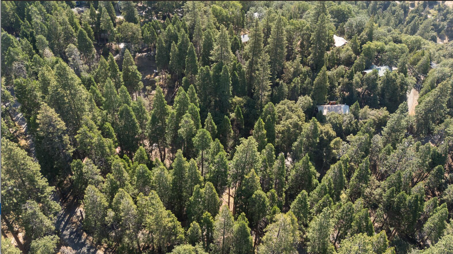 1482 Coy Flat Dr, Springville, CA 93265