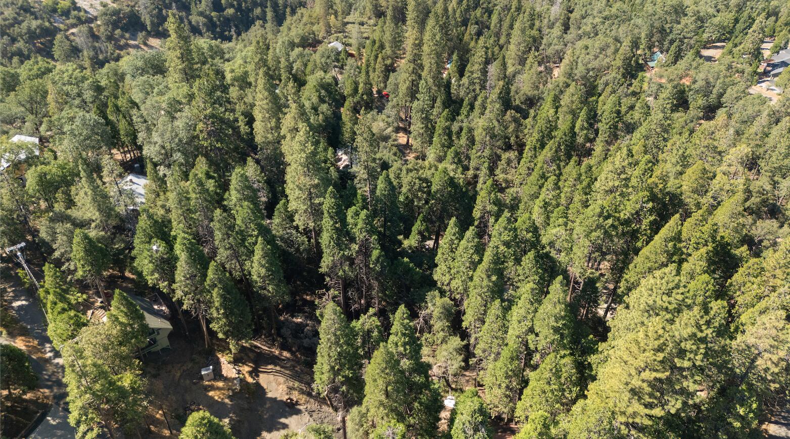 1482 Coy Flat Dr, Springville, CA 93265