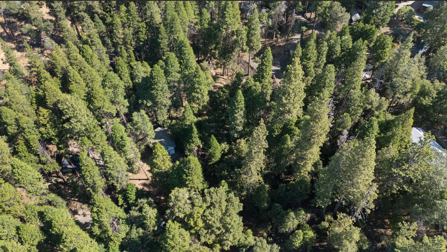1482 Coy Flat Dr, Springville, CA 93265