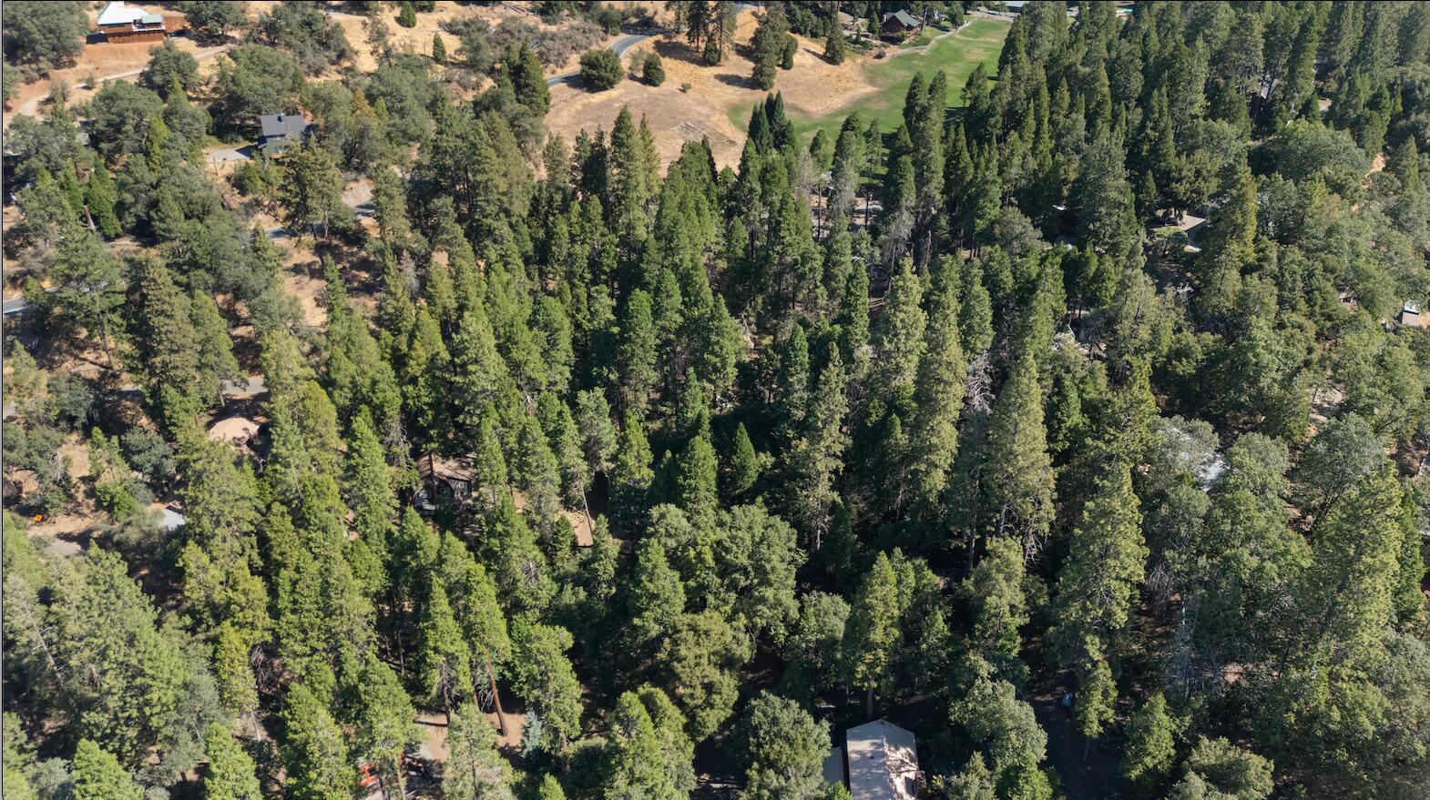 1482 Coy Flat Dr, Springville, CA 93265