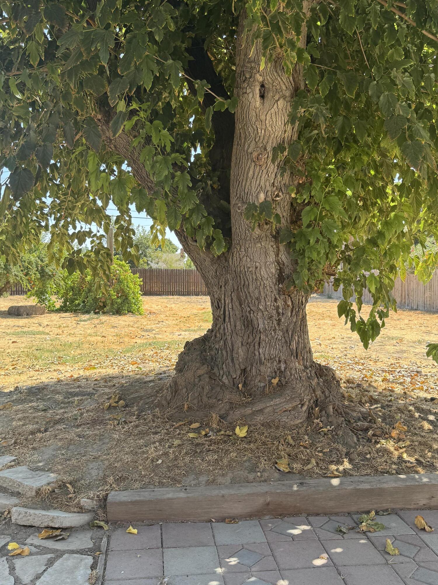 1609 Pleasant Way, Hanford, CA 93230
