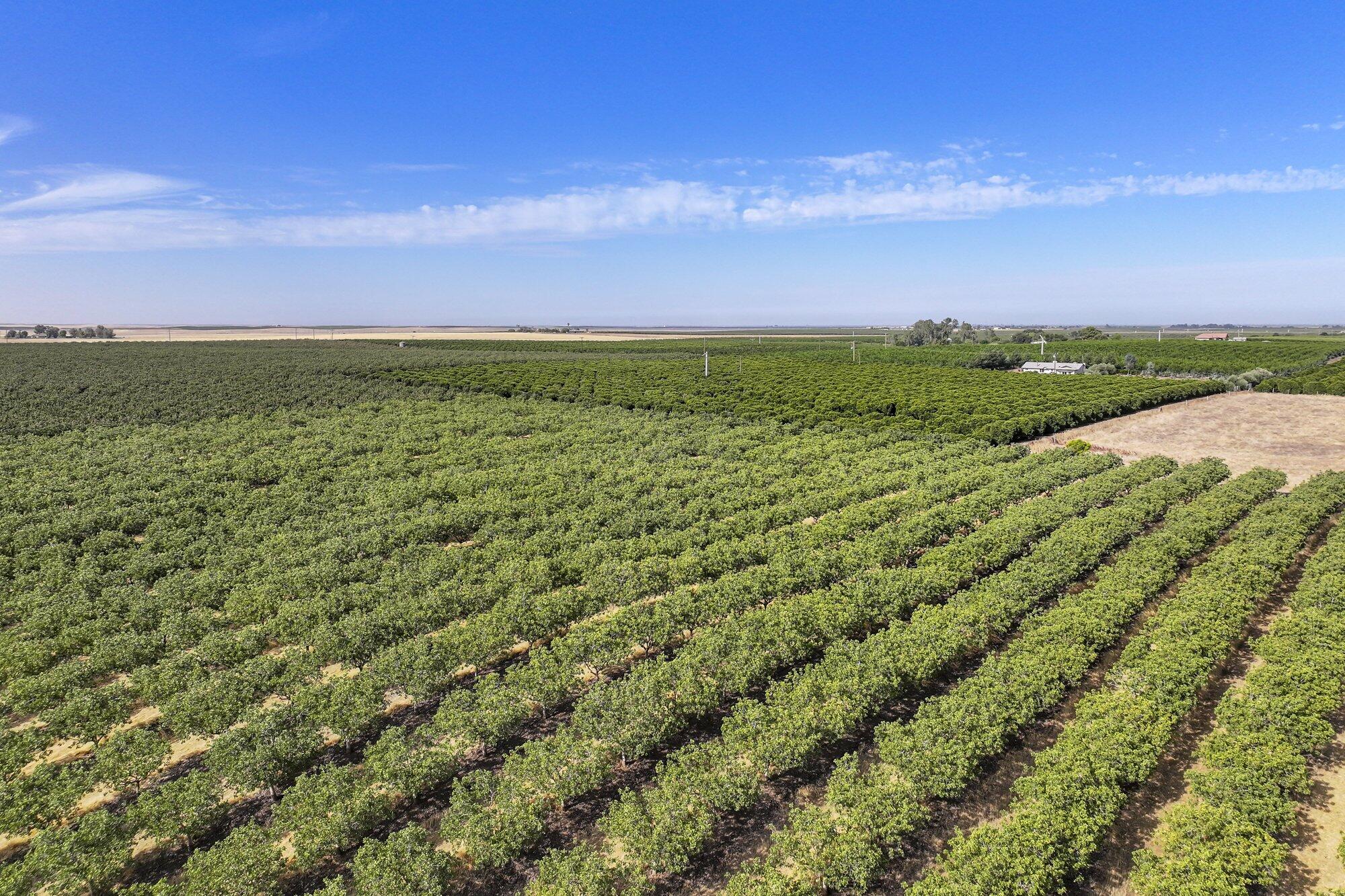 26202 Avenue 68, Terra Bella, CA 93270