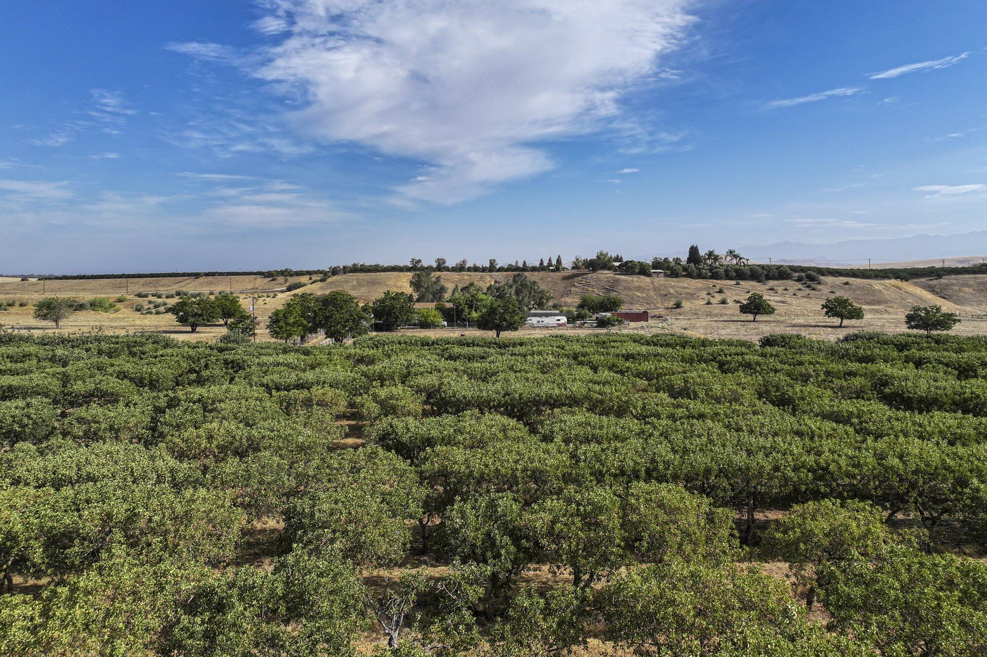26202 Avenue 68, Terra Bella, CA 93270