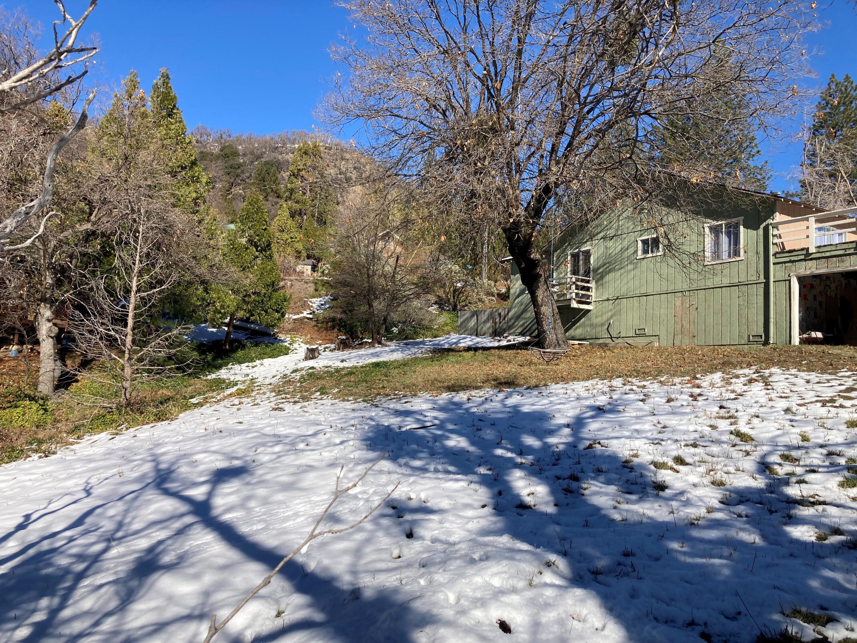305 John Lewis Dr, Springville, CA 93265