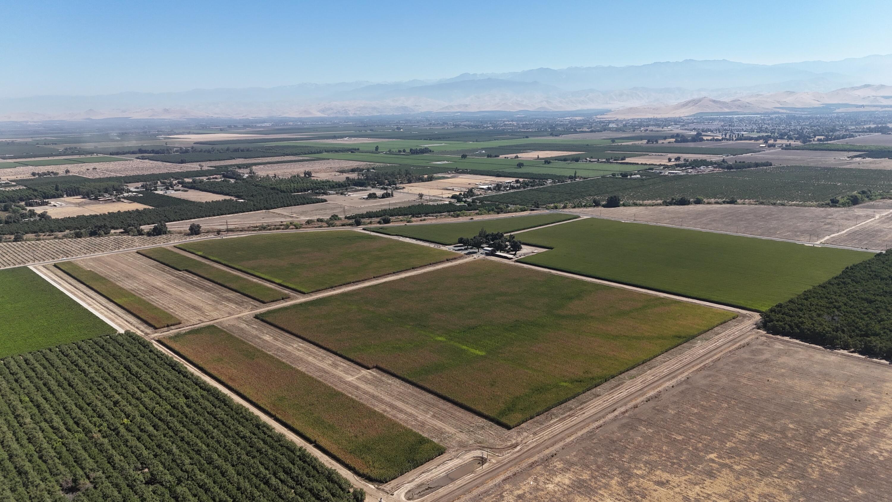 15827 Rd 208, Porterville, CA 93257