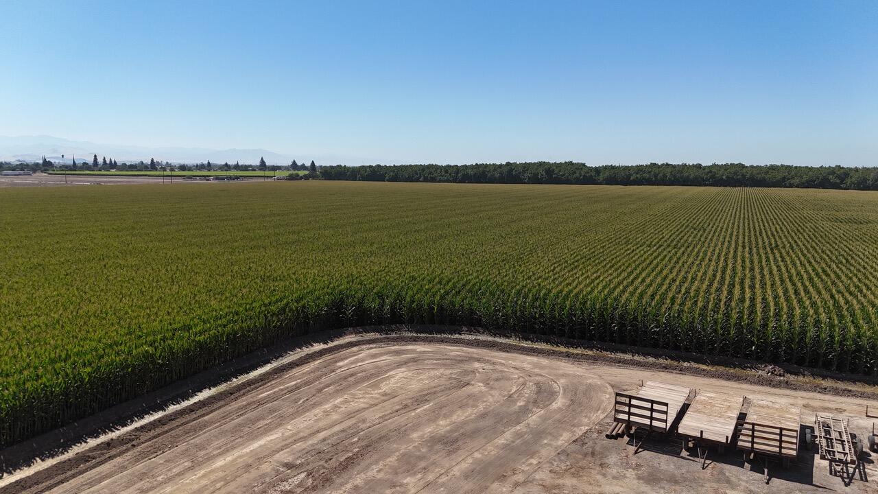 15827 Rd 208, Porterville, CA 93257
