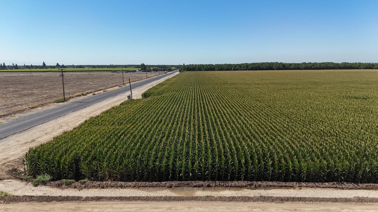 15827 Rd 208, Porterville, CA 93257