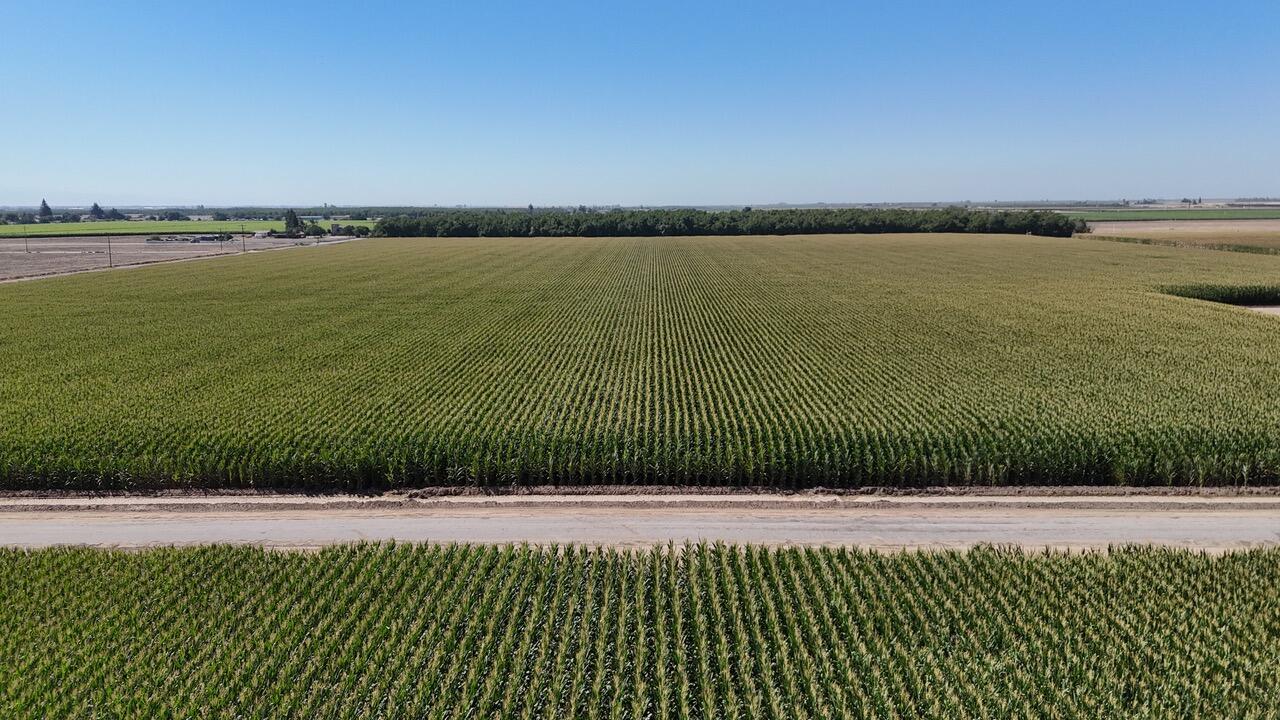 15827 Rd 208, Porterville, CA 93257