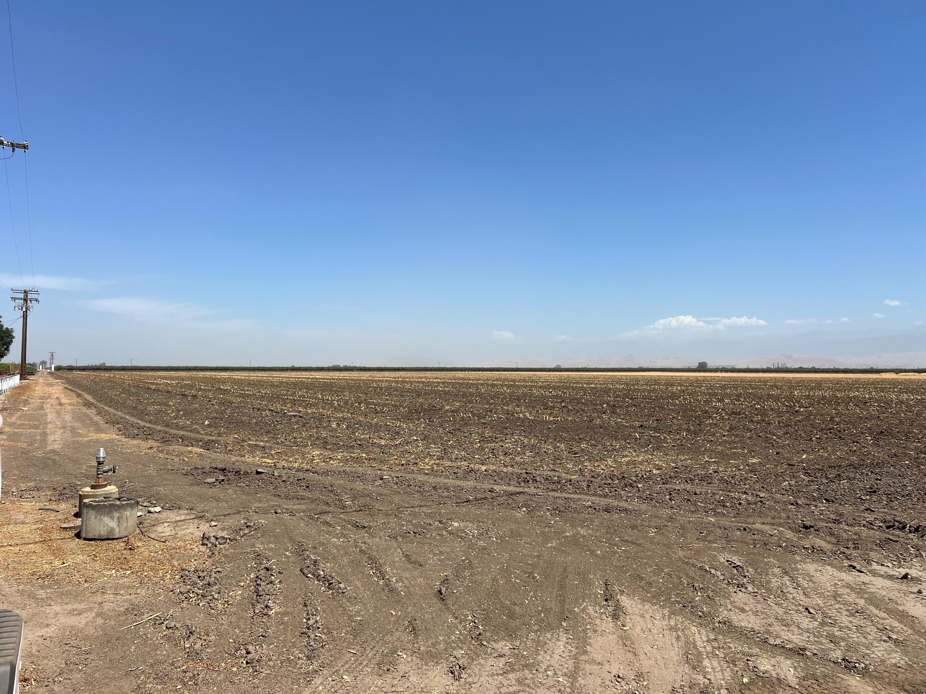 0, Strathmore, CA 93267