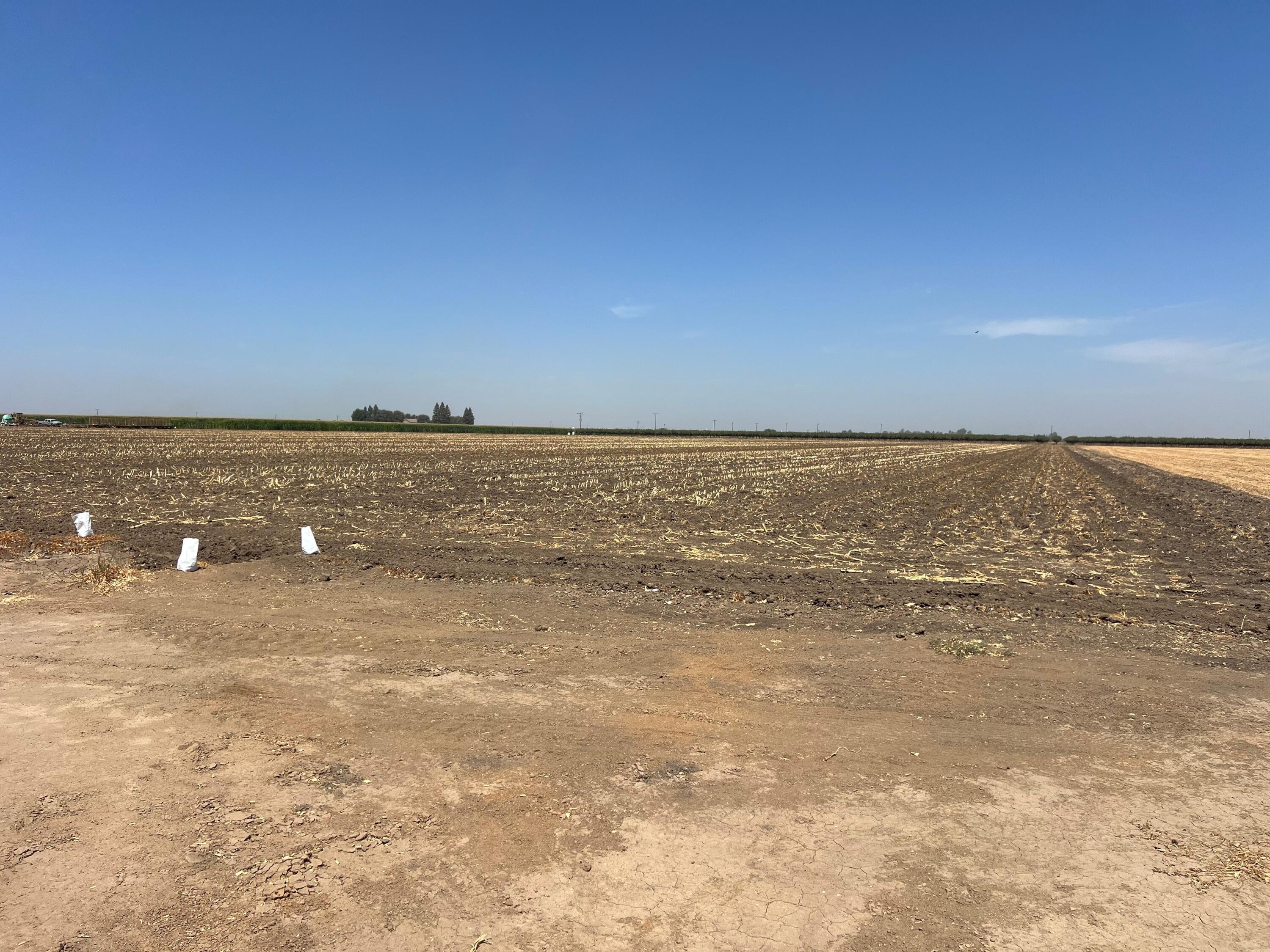 0, Strathmore, CA 93267