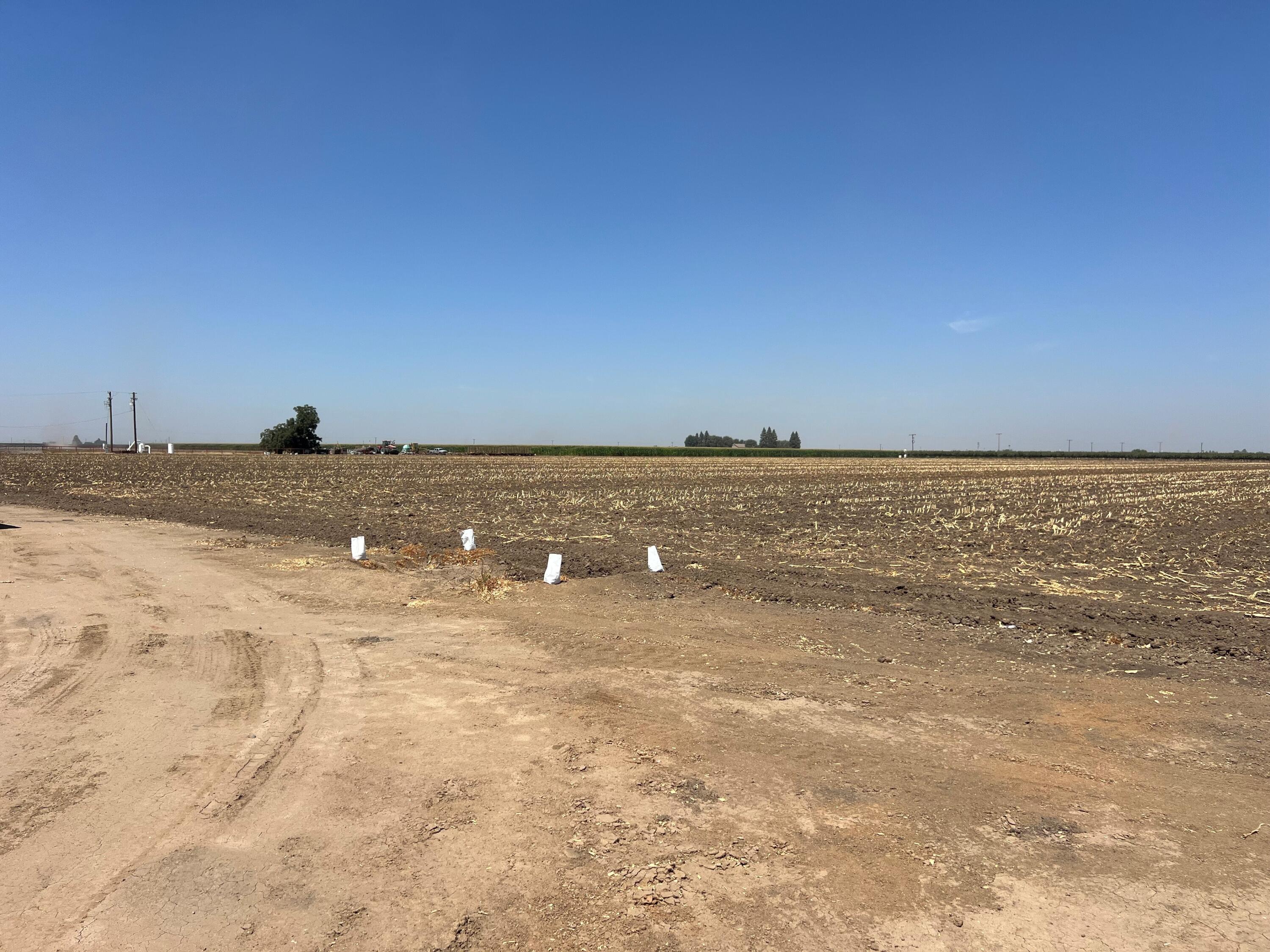 0, Strathmore, CA 93267