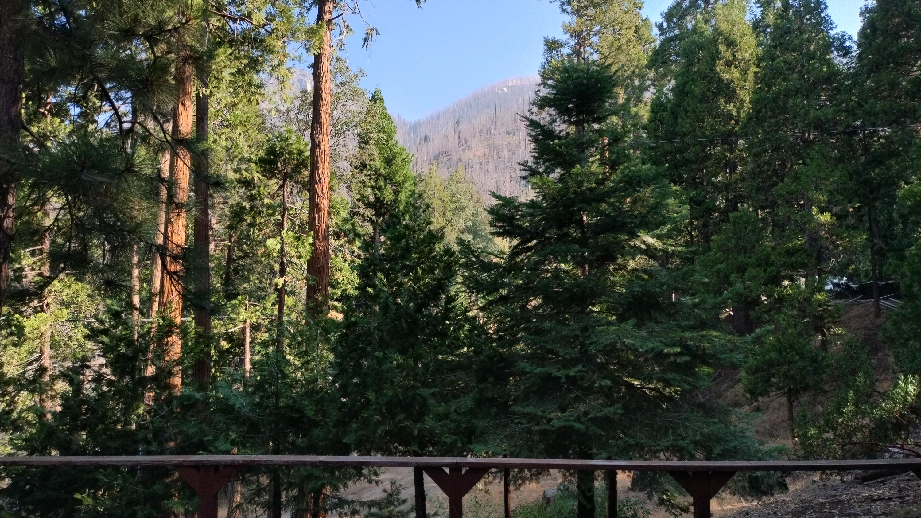 51837 Cedar Rd, Cedar Slope, CA 93265