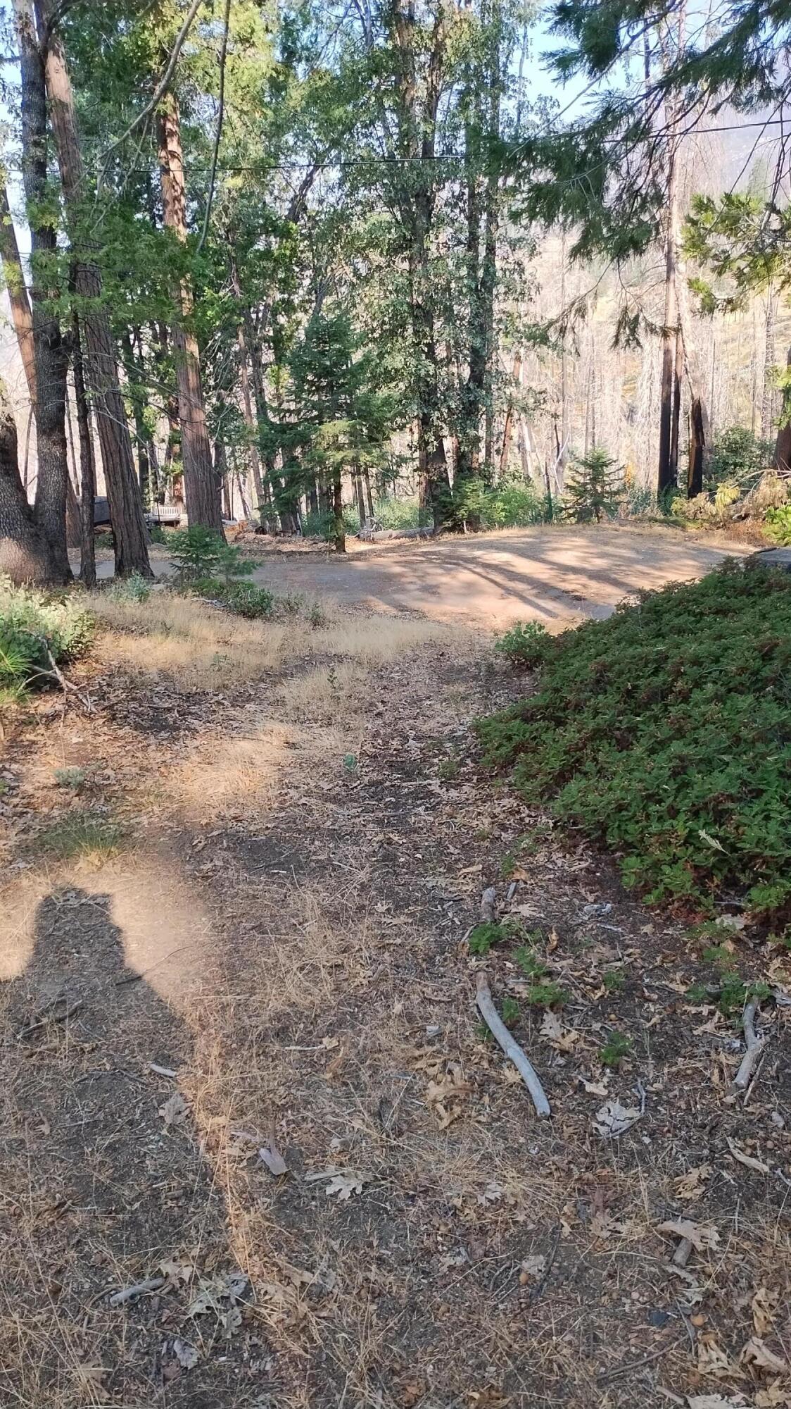 51837 Cedar Rd, Cedar Slope, CA 93265