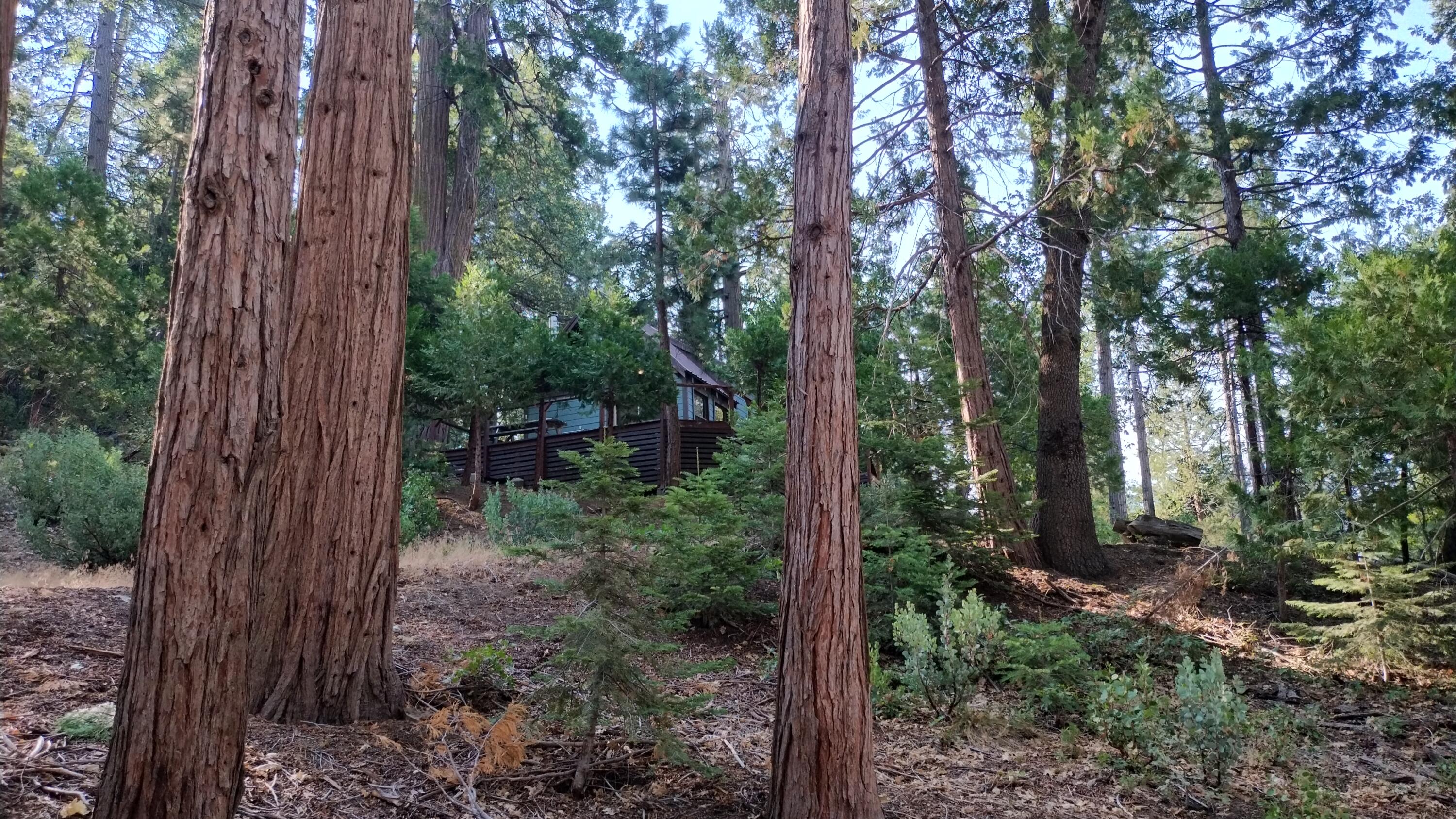 51837 Cedar Rd, Cedar Slope, CA 93265