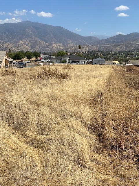 16837 Deer Creek Dr, Springville, CA 93265