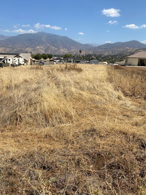 16837 Deer Creek Dr, Springville, CA 93265