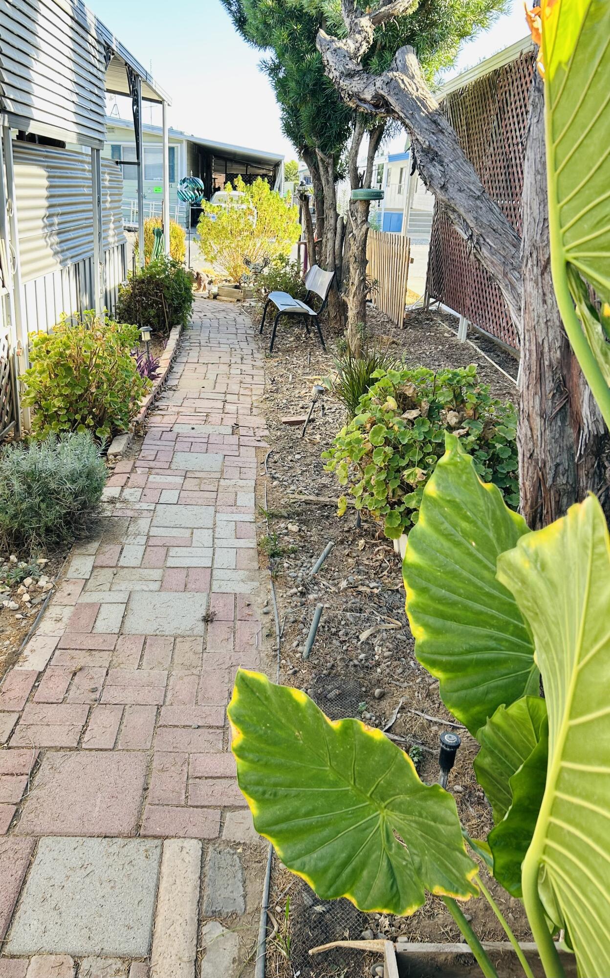314 N Albert Ave #105, Exeter, CA 93221