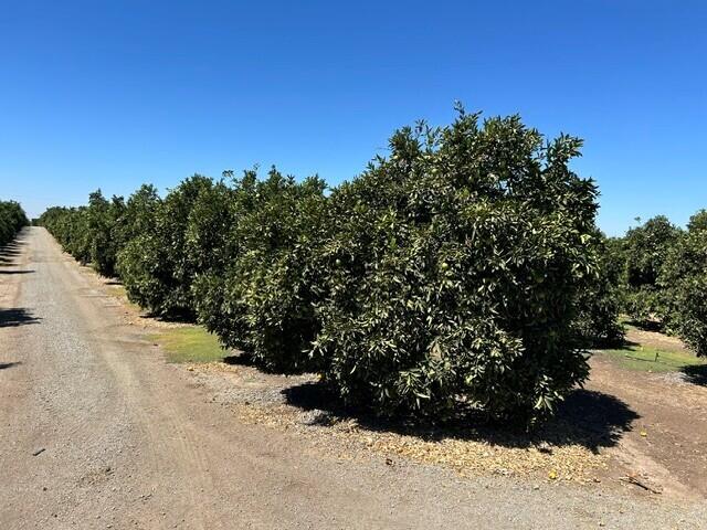 0 Plano Rd, Porterville, CA 93257
