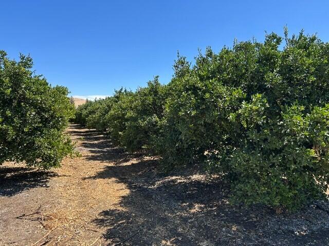 0 Plano Rd, Porterville, CA 93257