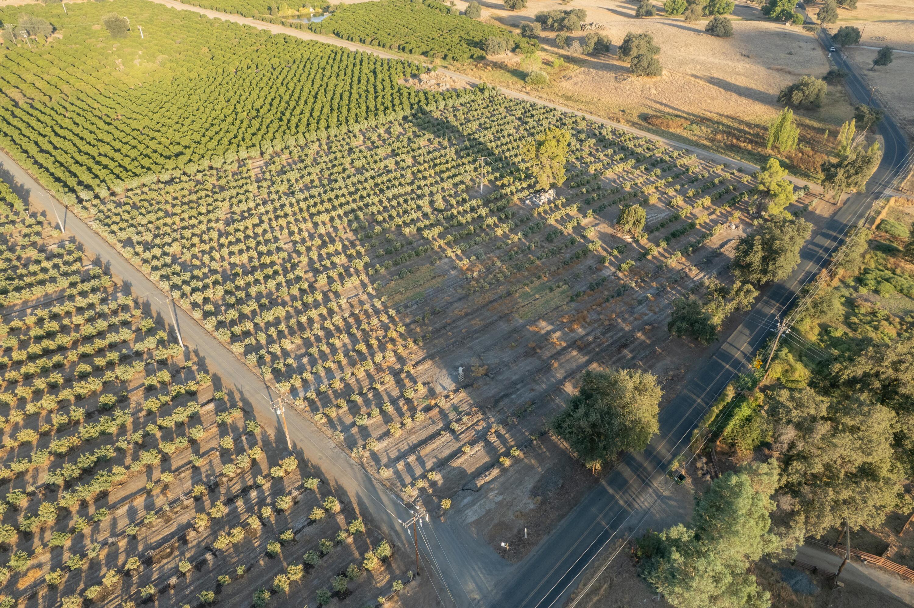 0 Success Valley Dr, Porterville, CA 93257