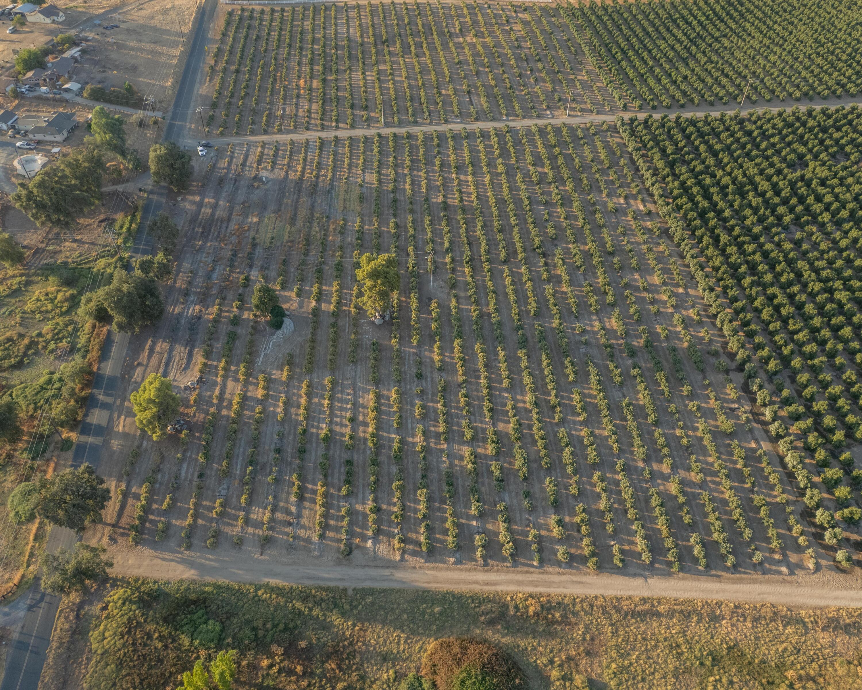 0 Success Valley Dr, Porterville, CA 93257