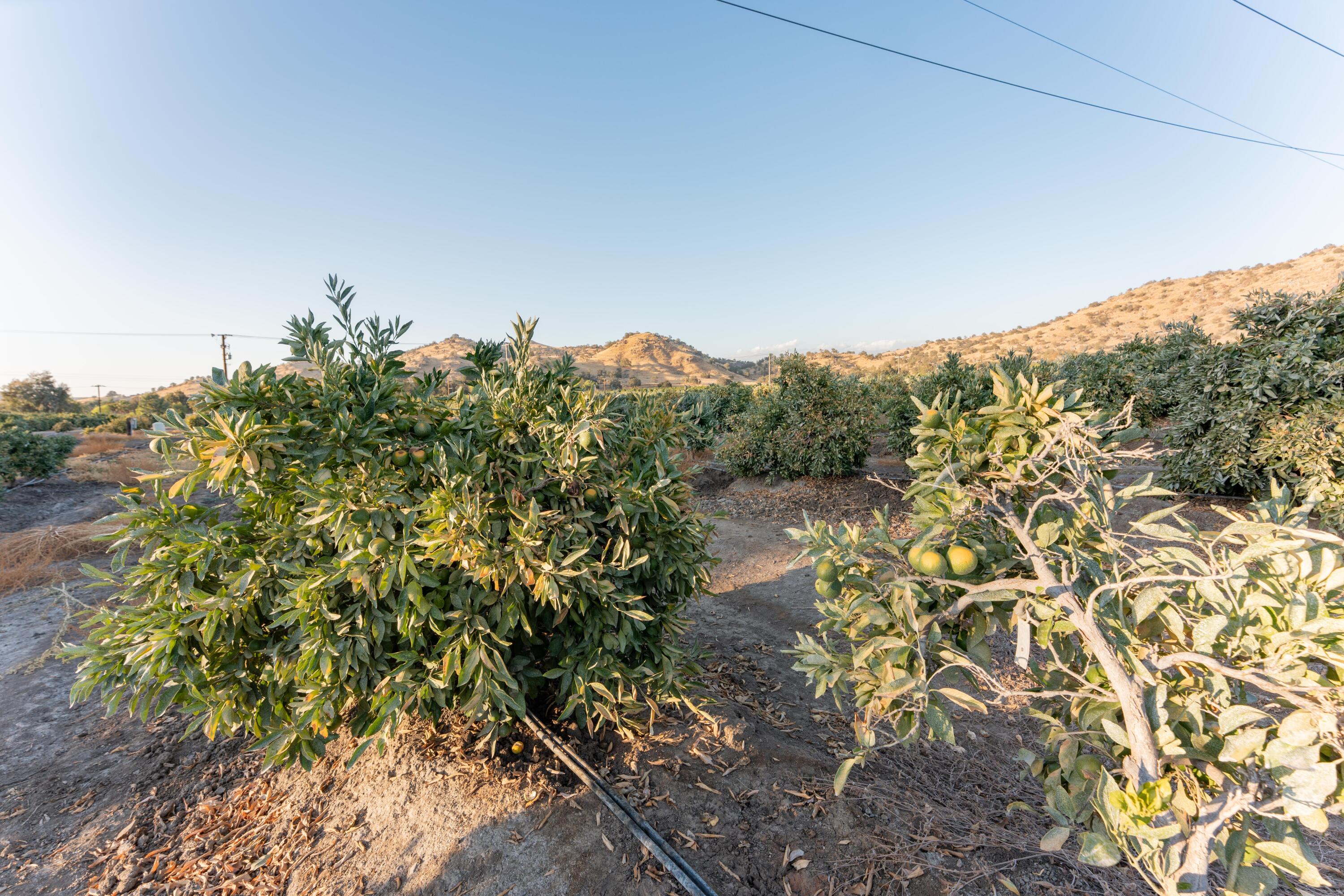 0 Success Valley Dr, Porterville, CA 93257