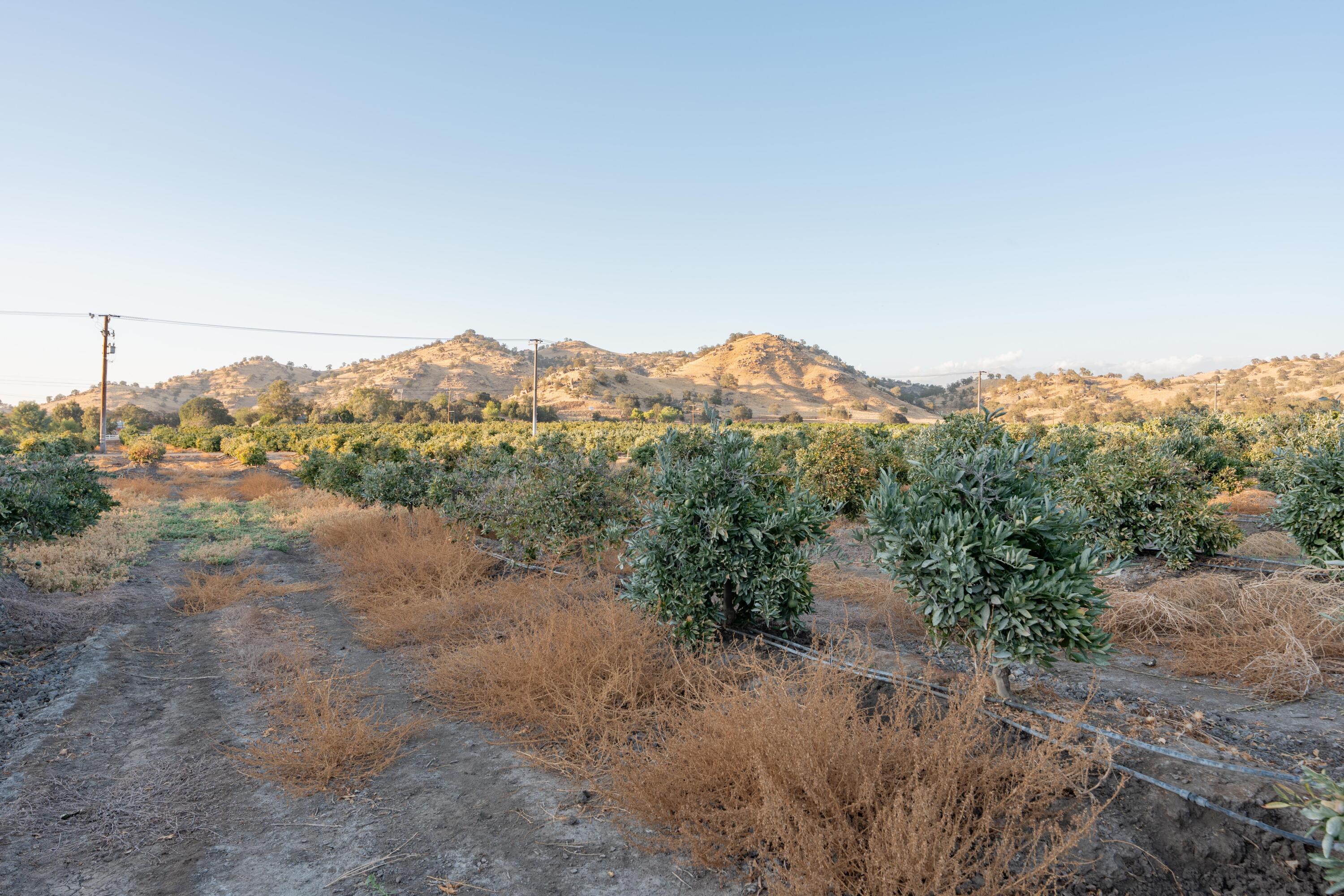 0 Success Valley Dr, Porterville, CA 93257