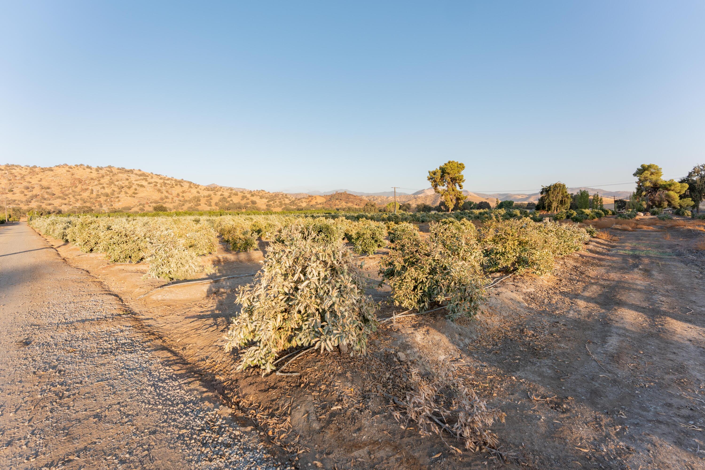 0 Success Valley Dr, Porterville, CA 93257