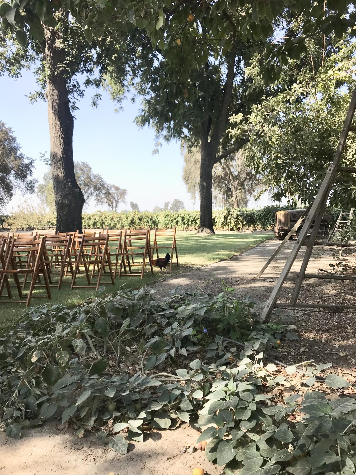 18896 Grangeville Blvd, Lemoore, CA 93245