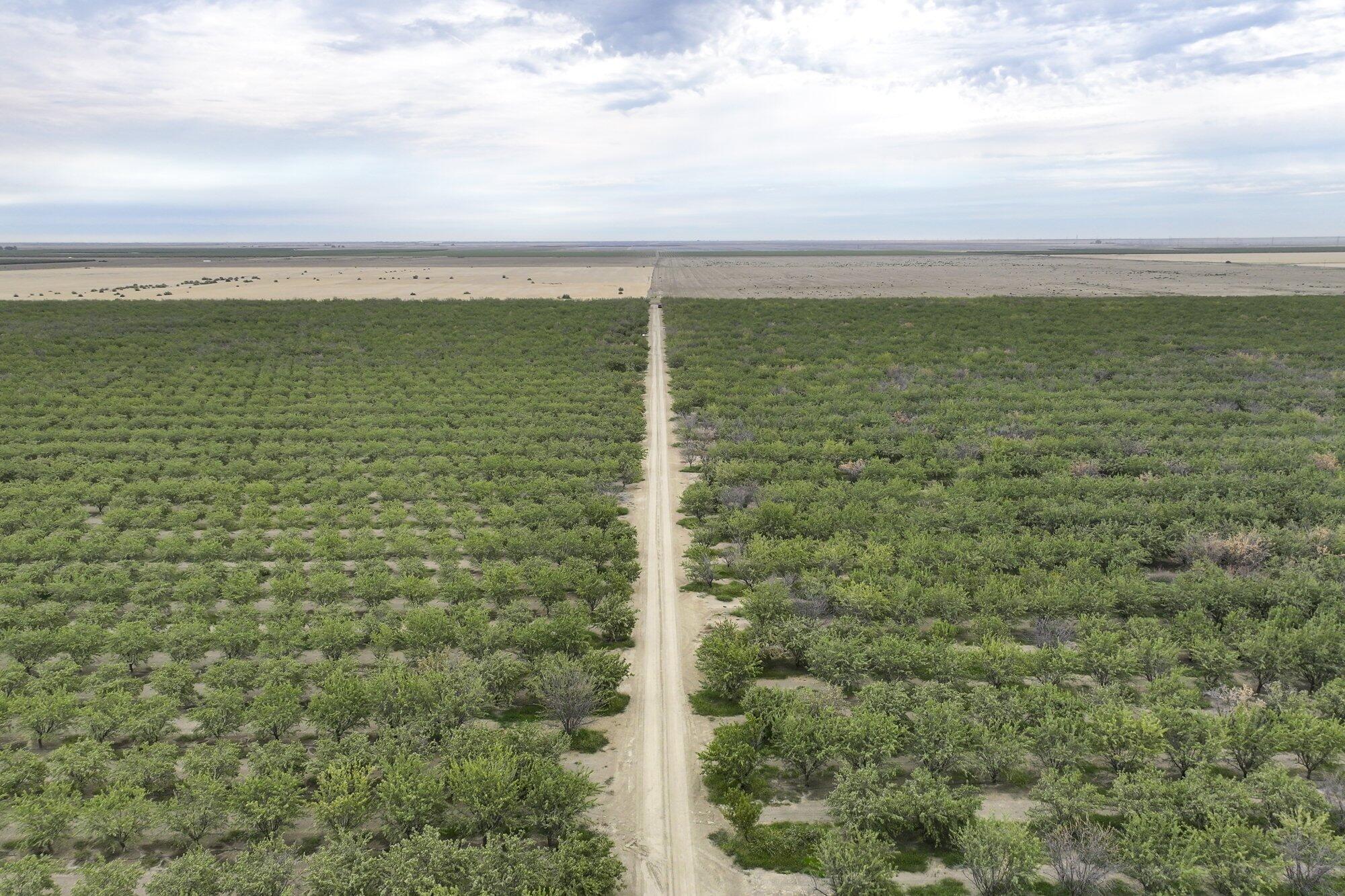 0 Manning Ave, Mendota, CA 93640