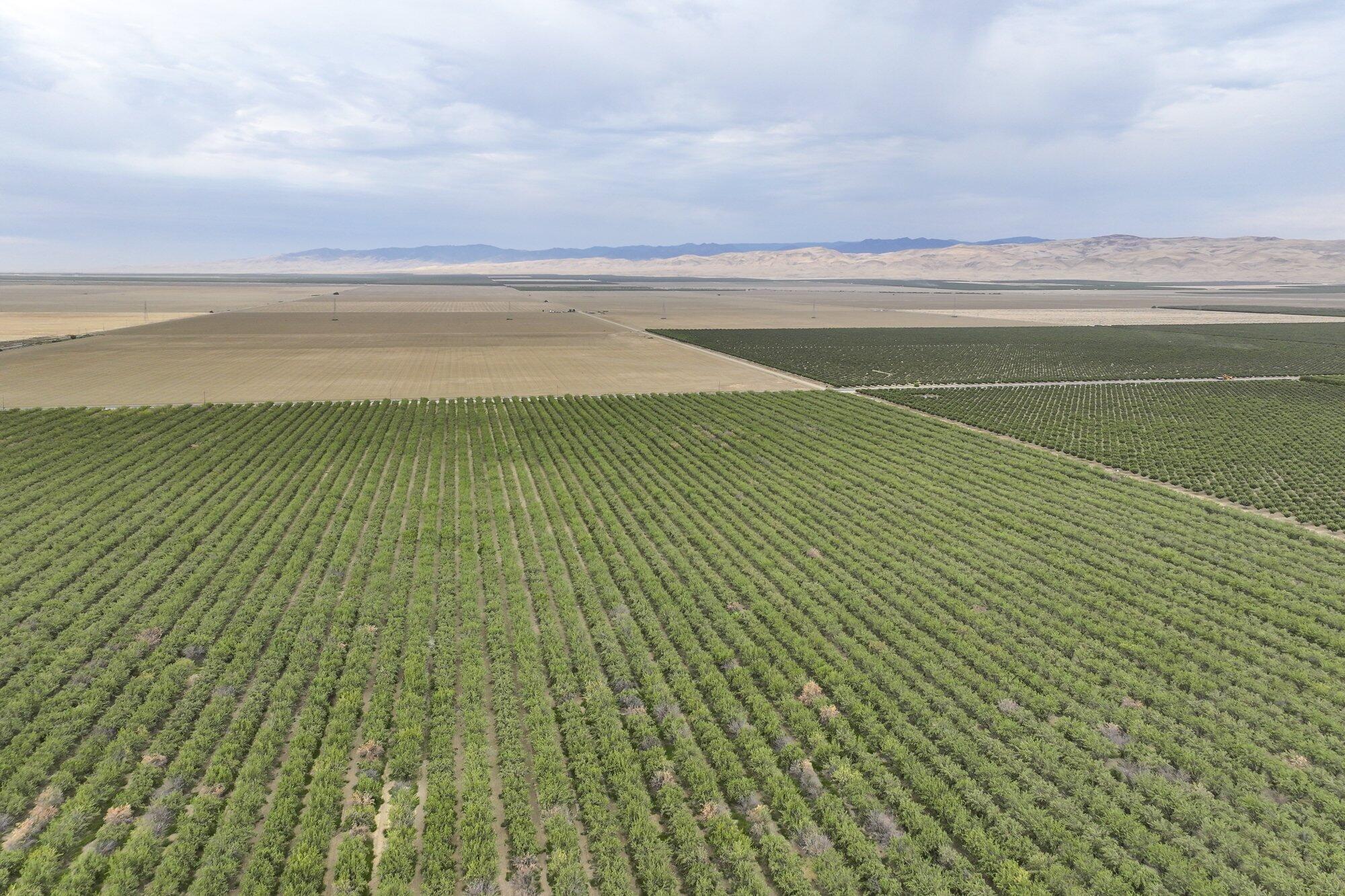 0 Manning Ave, Mendota, CA 93640