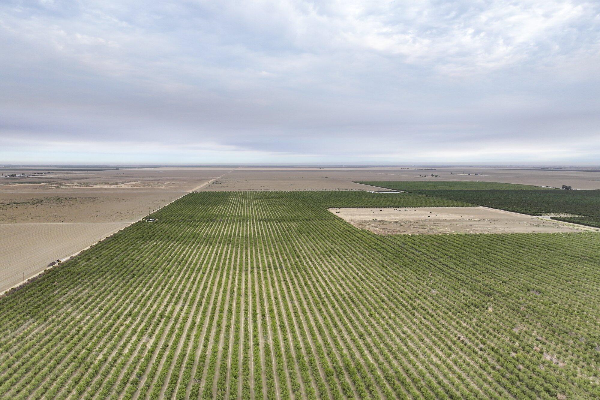 0 Manning Ave, Mendota, CA 93640