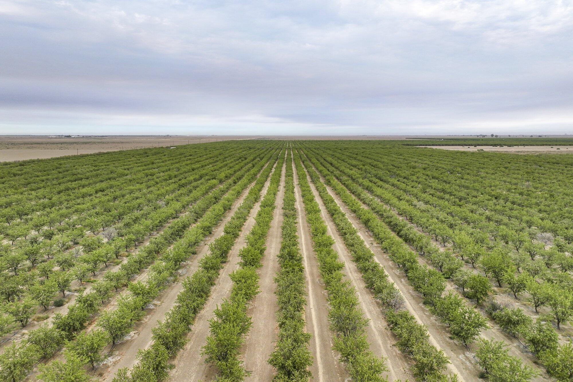 0 Manning Ave, Mendota, CA 93640