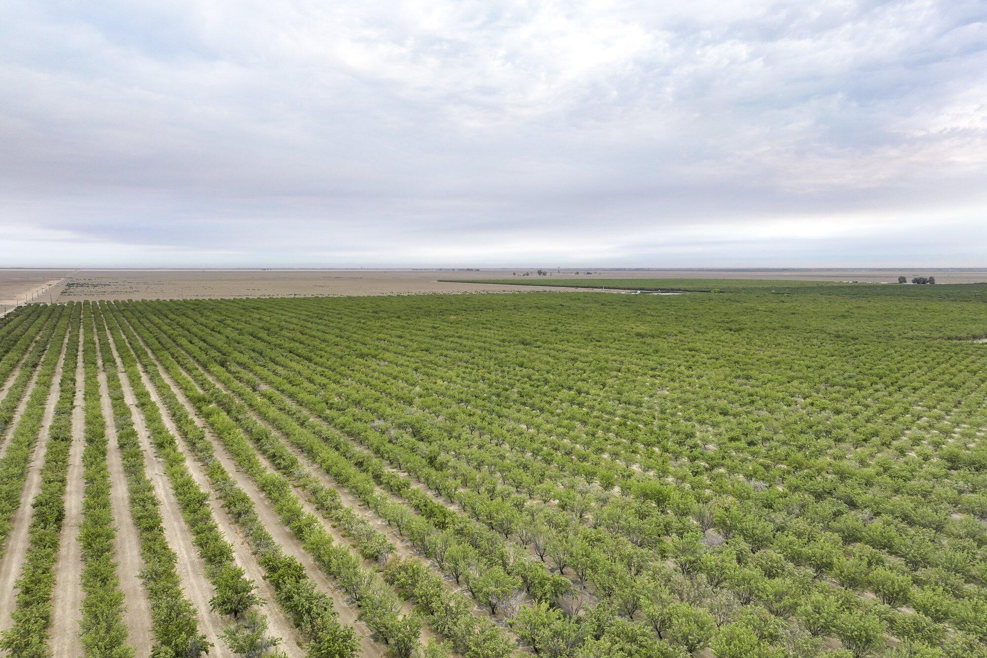 0 Manning Ave, Mendota, CA 93640