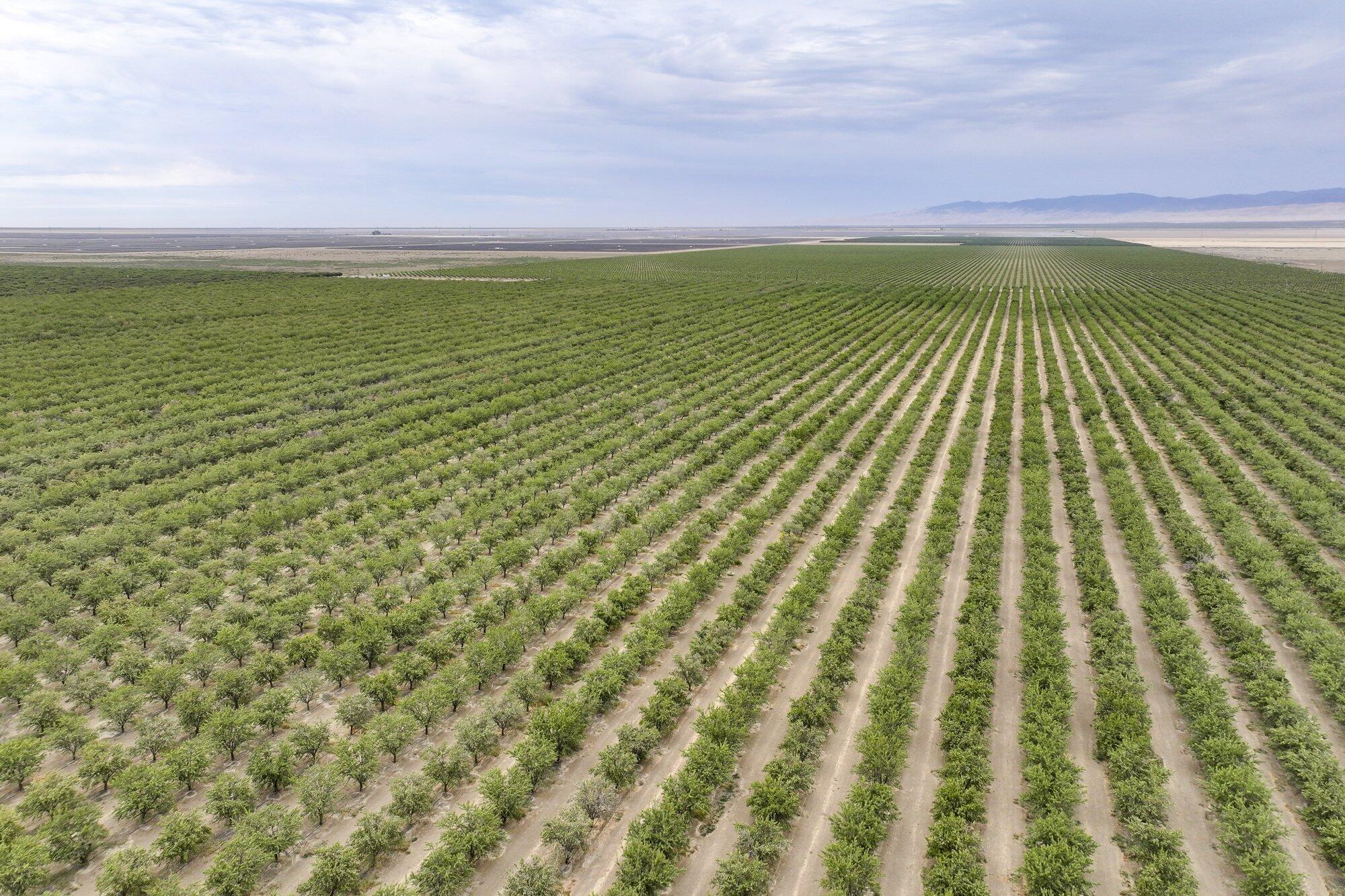 0 Manning Ave, Mendota, CA 93640