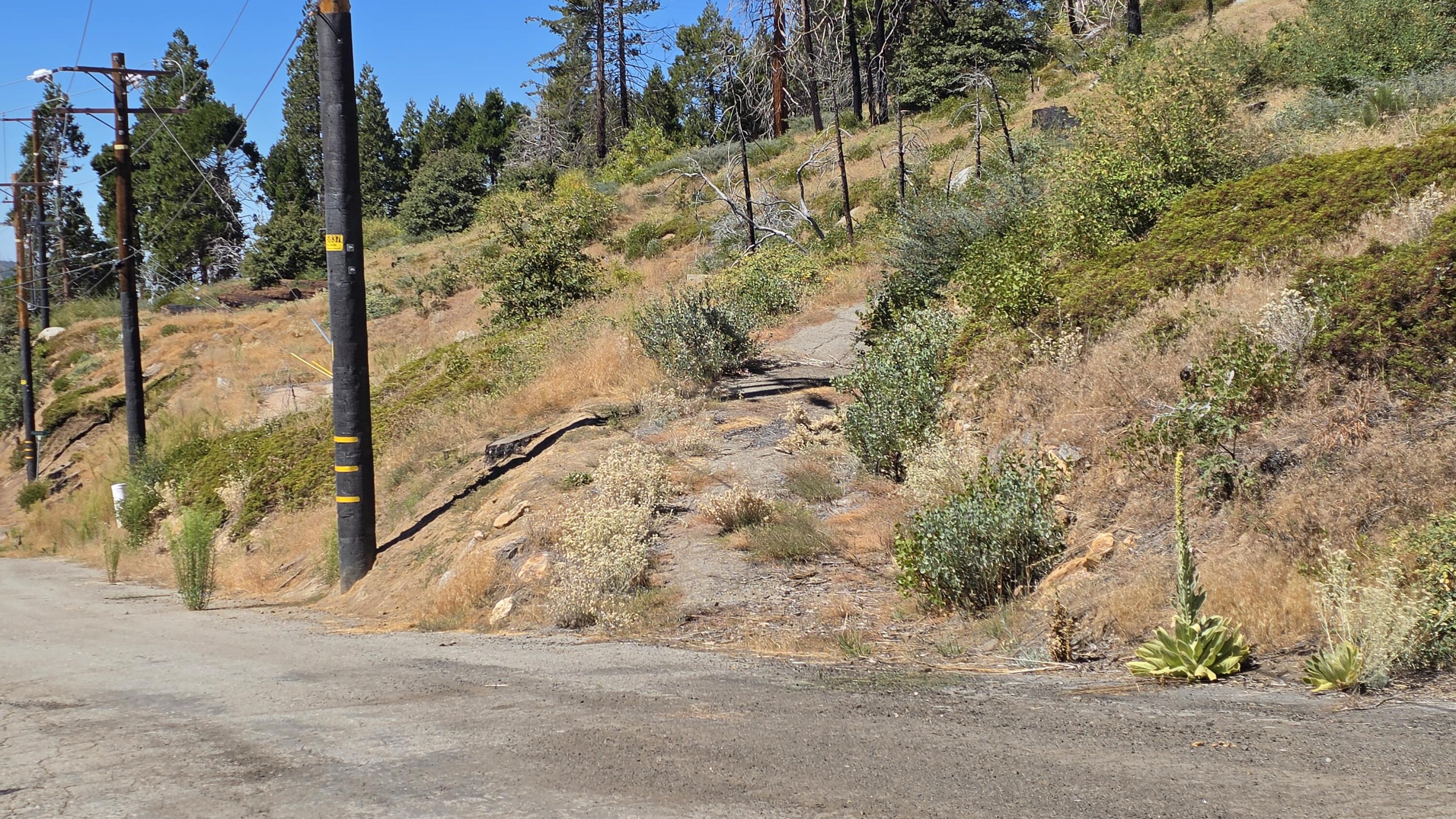 53037 Pine View Dr, Springville, CA 93265