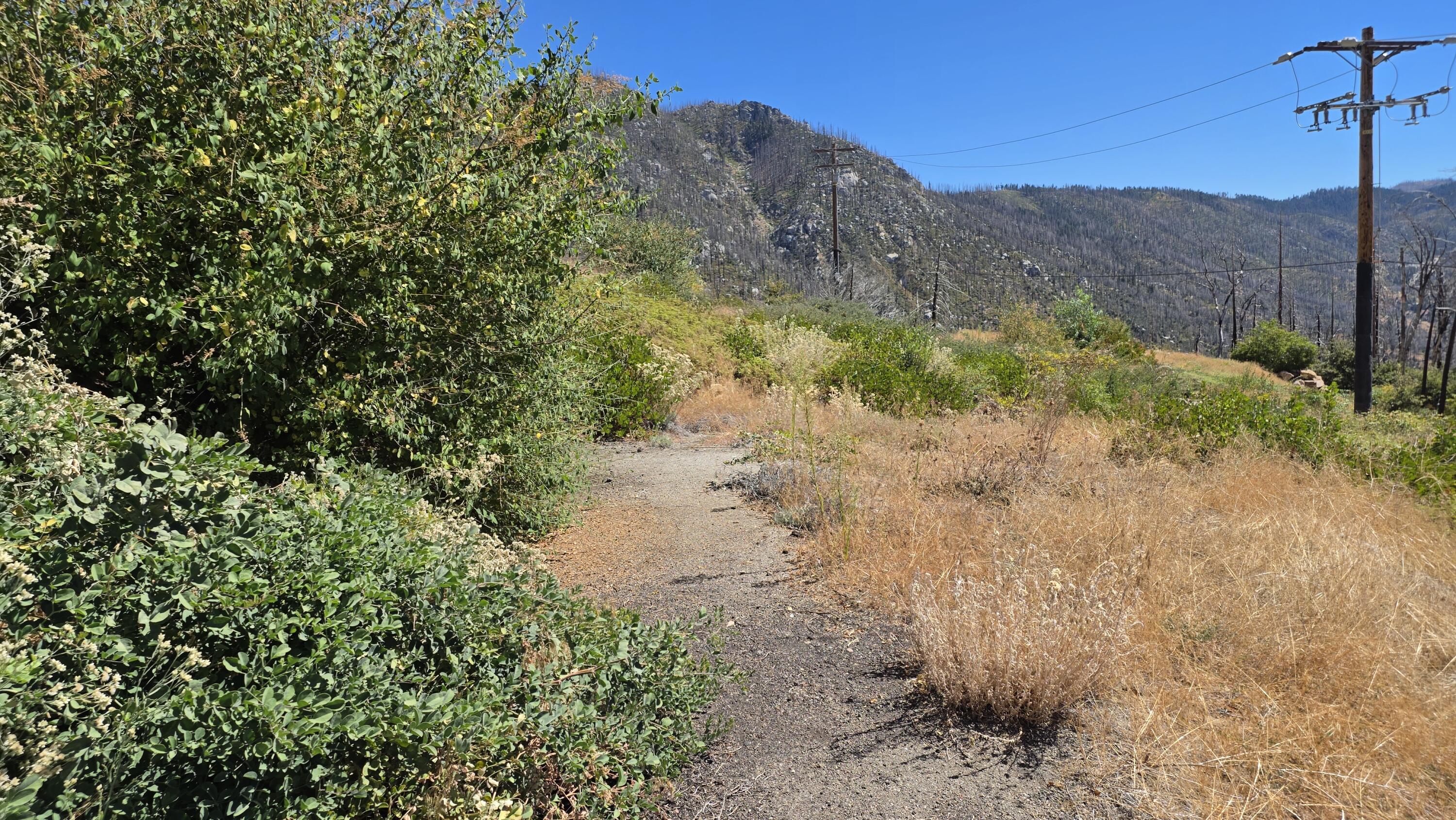 53037 Pine View Dr, Springville, CA 93265