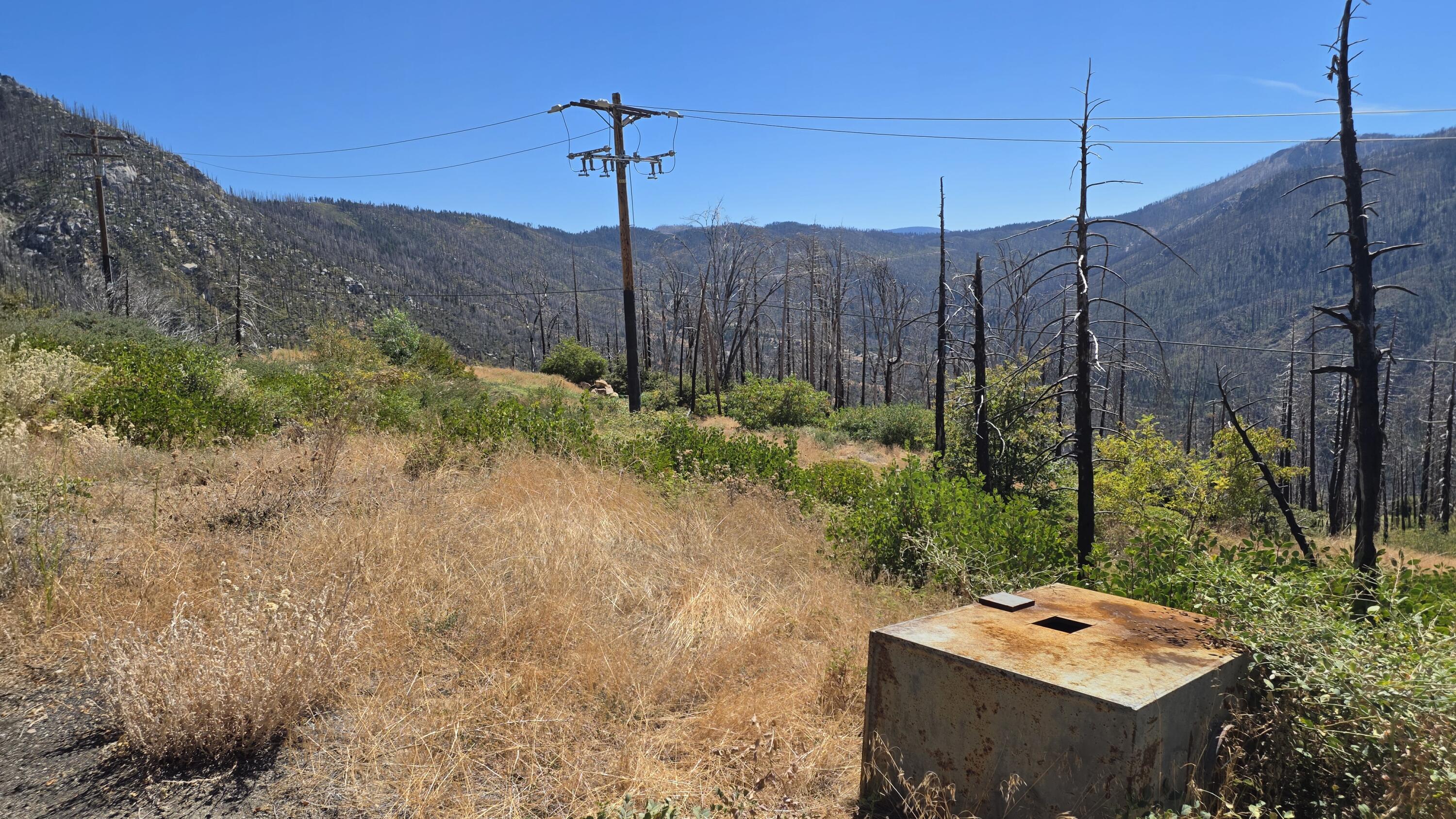 53037 Pine View Dr, Springville, CA 93265