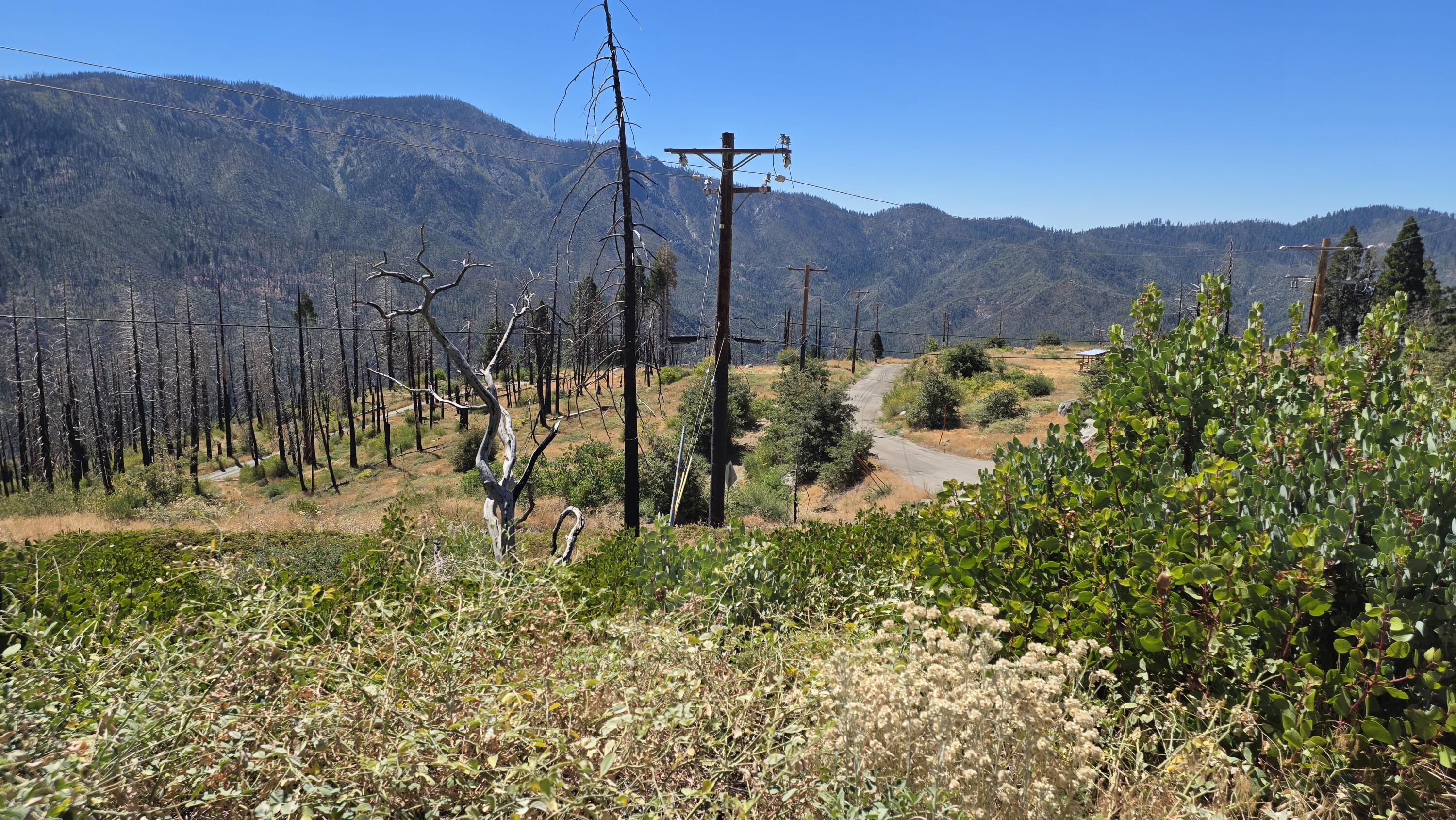53037 Pine View Dr, Springville, CA 93265