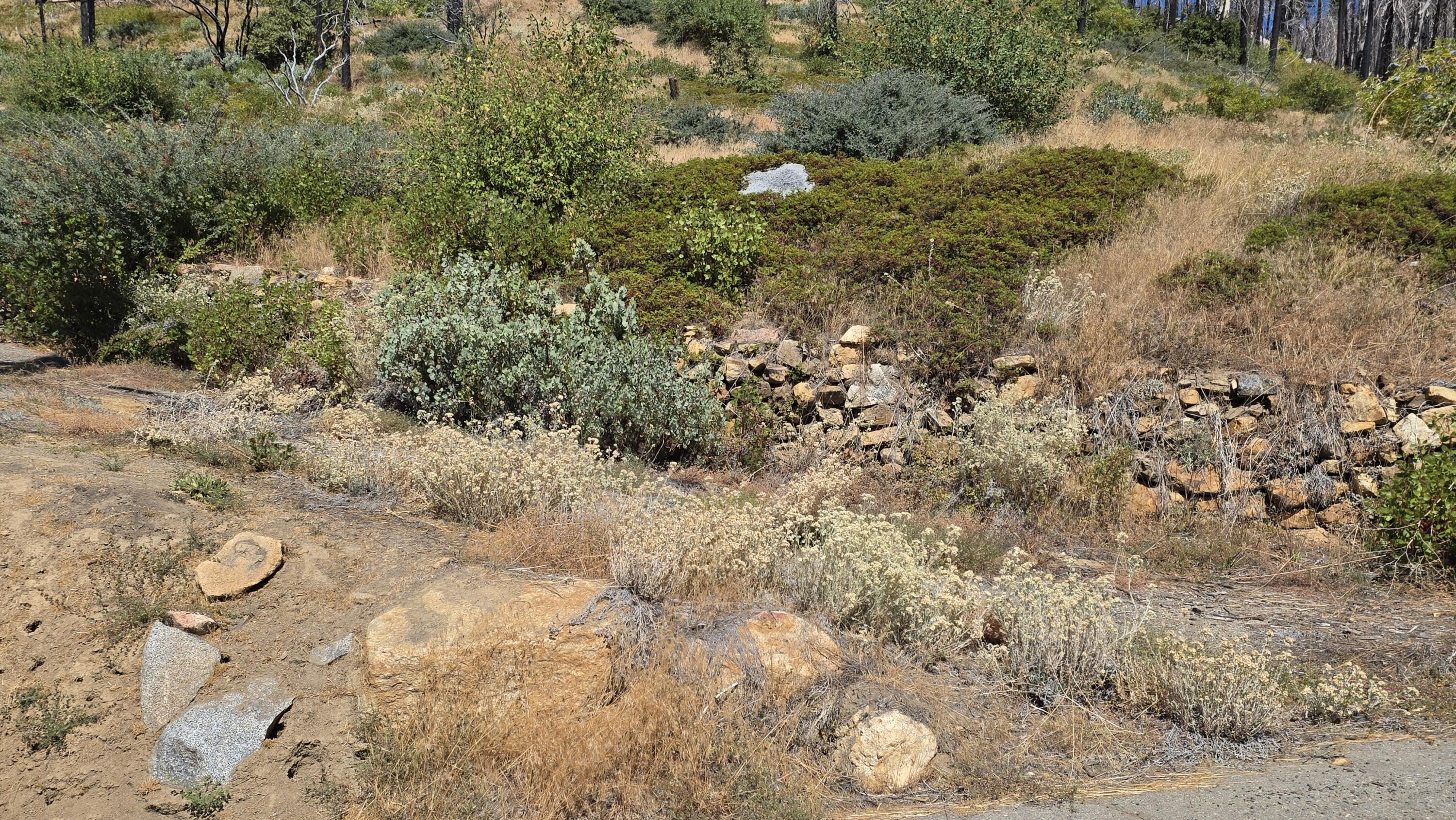 53037 Pine View Dr, Springville, CA 93265