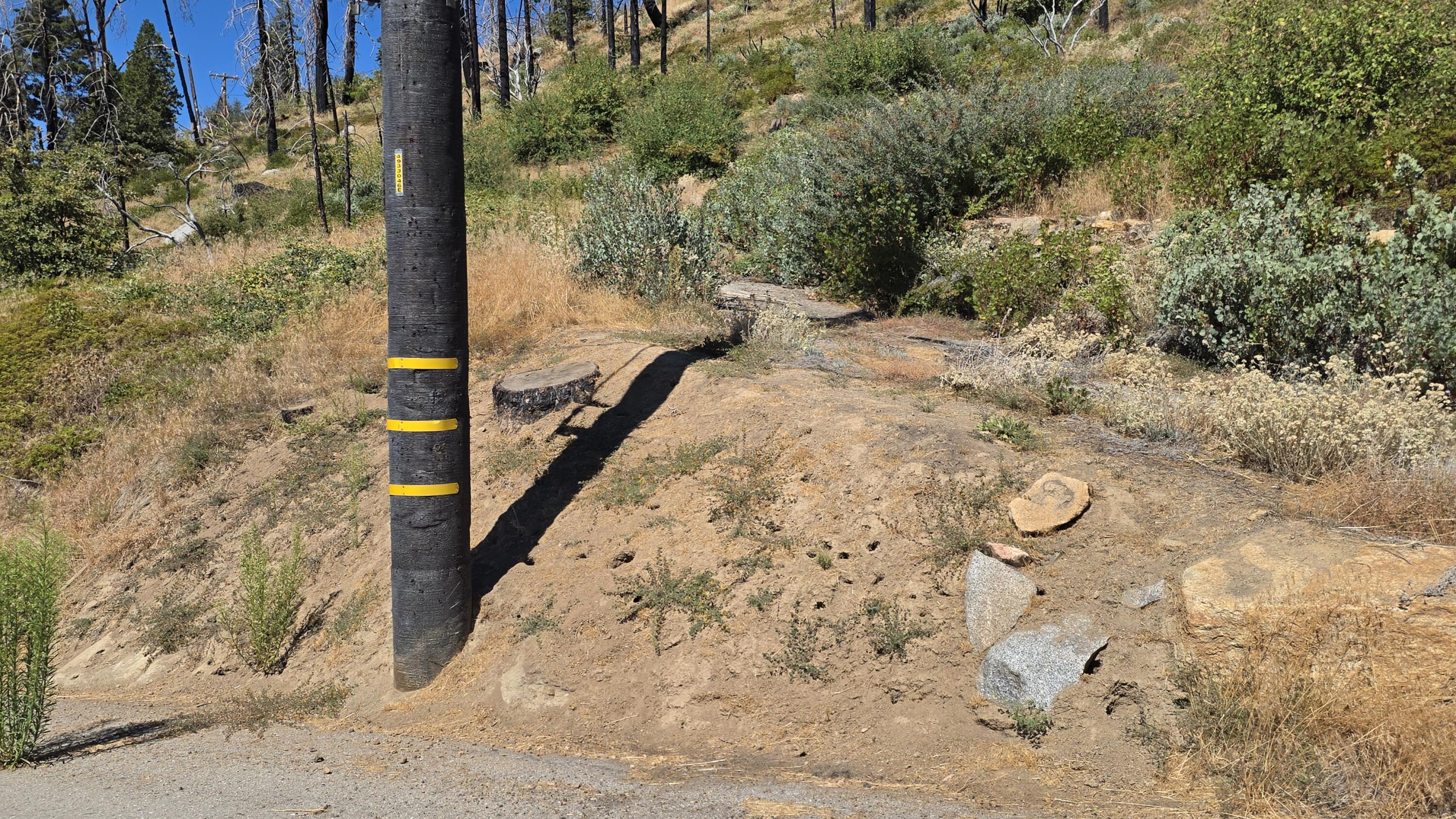 53037 Pine View Dr, Springville, CA 93265