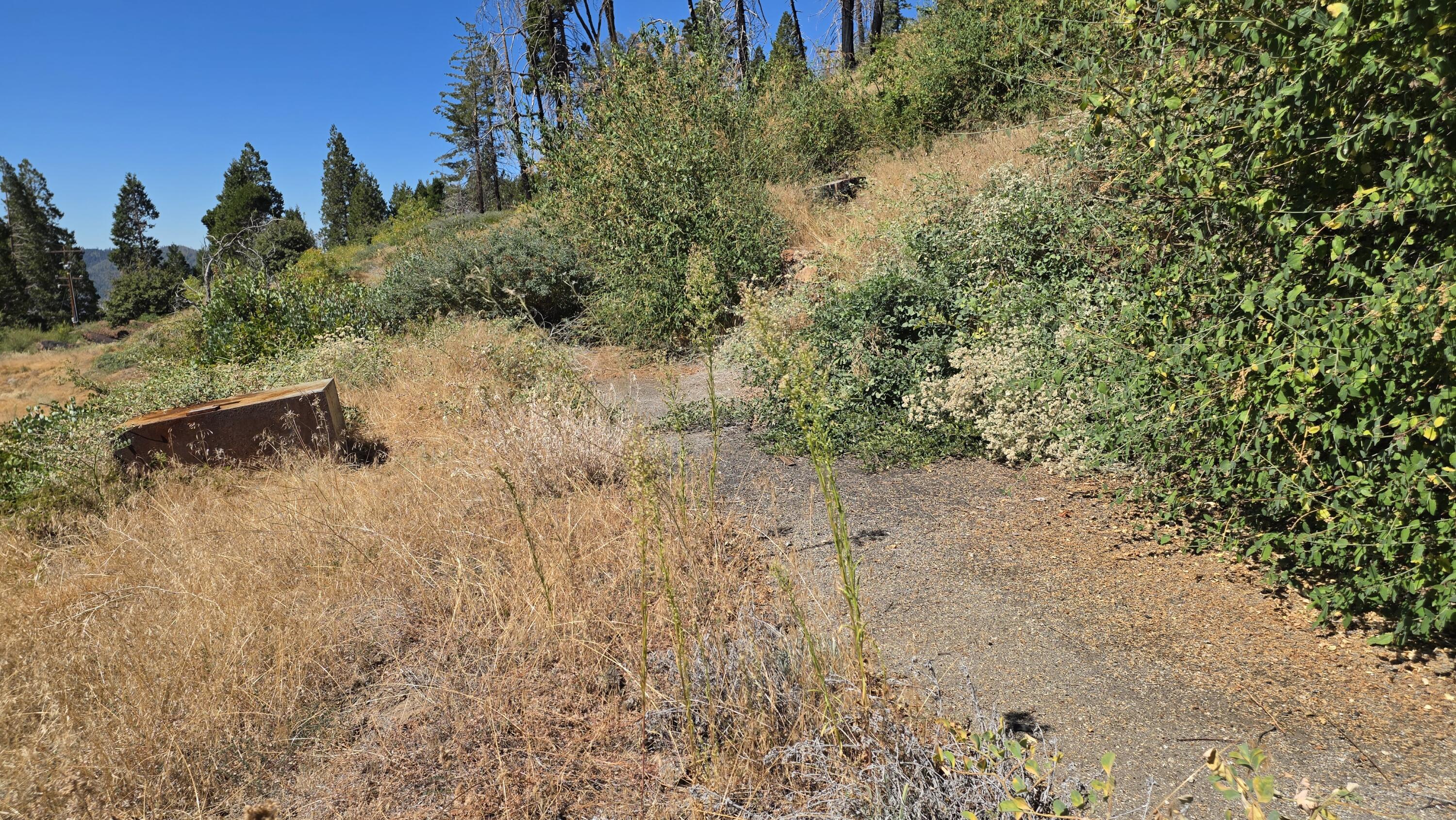 53037 Pine View Dr, Springville, CA 93265