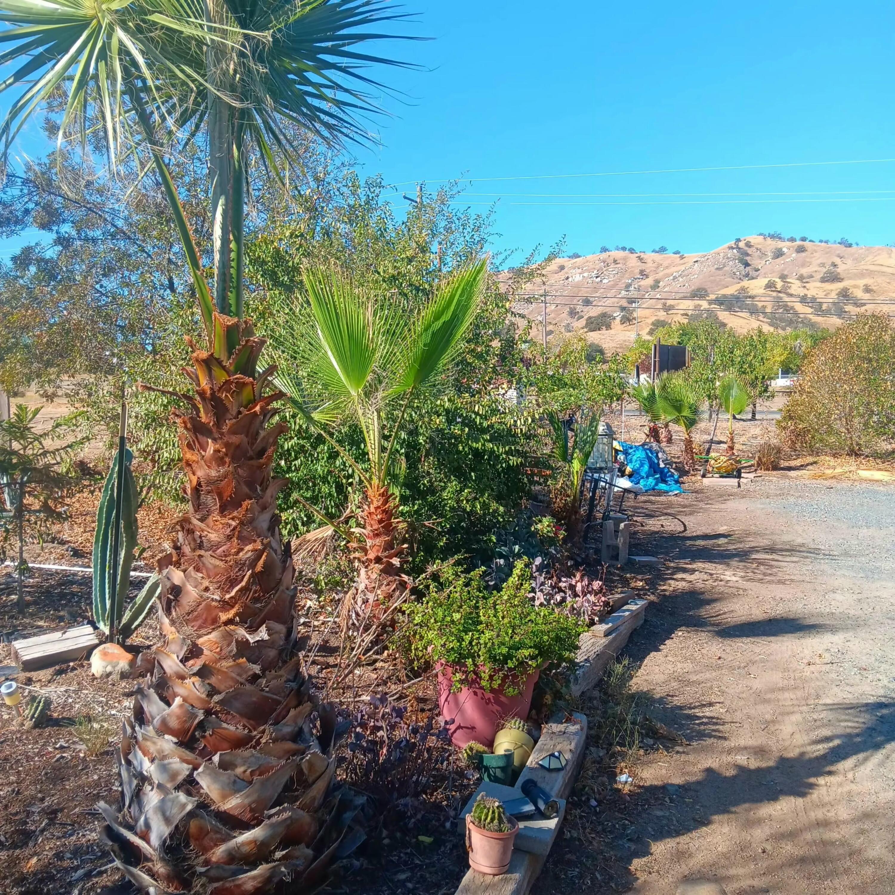 34933 Highway 190, Springville, CA 93265